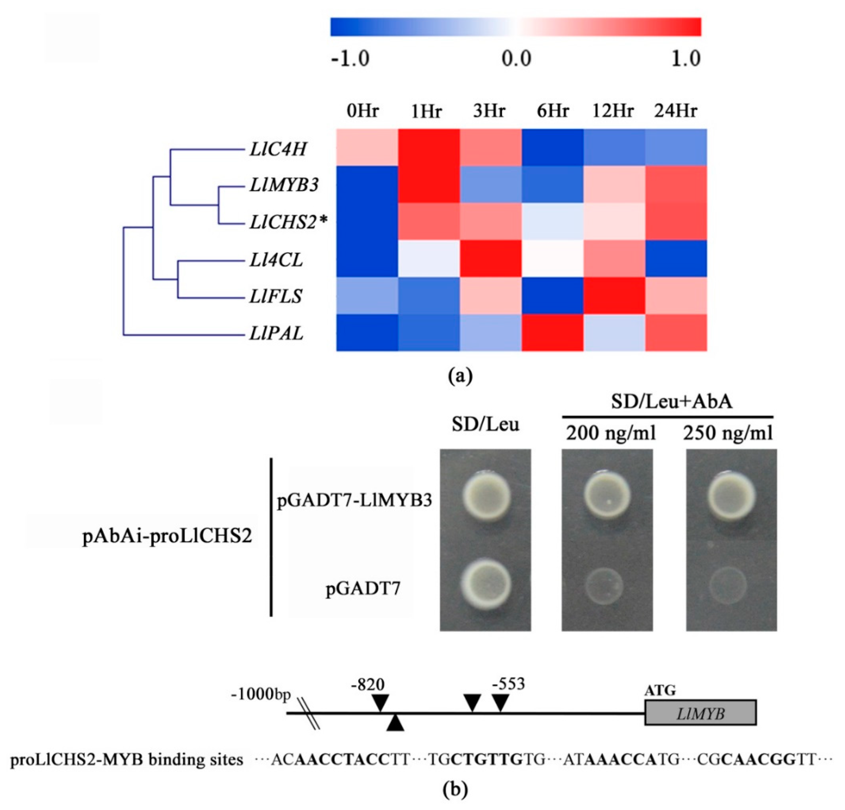 Ijms 20 03195 g007 Ijms 20 03195 g007