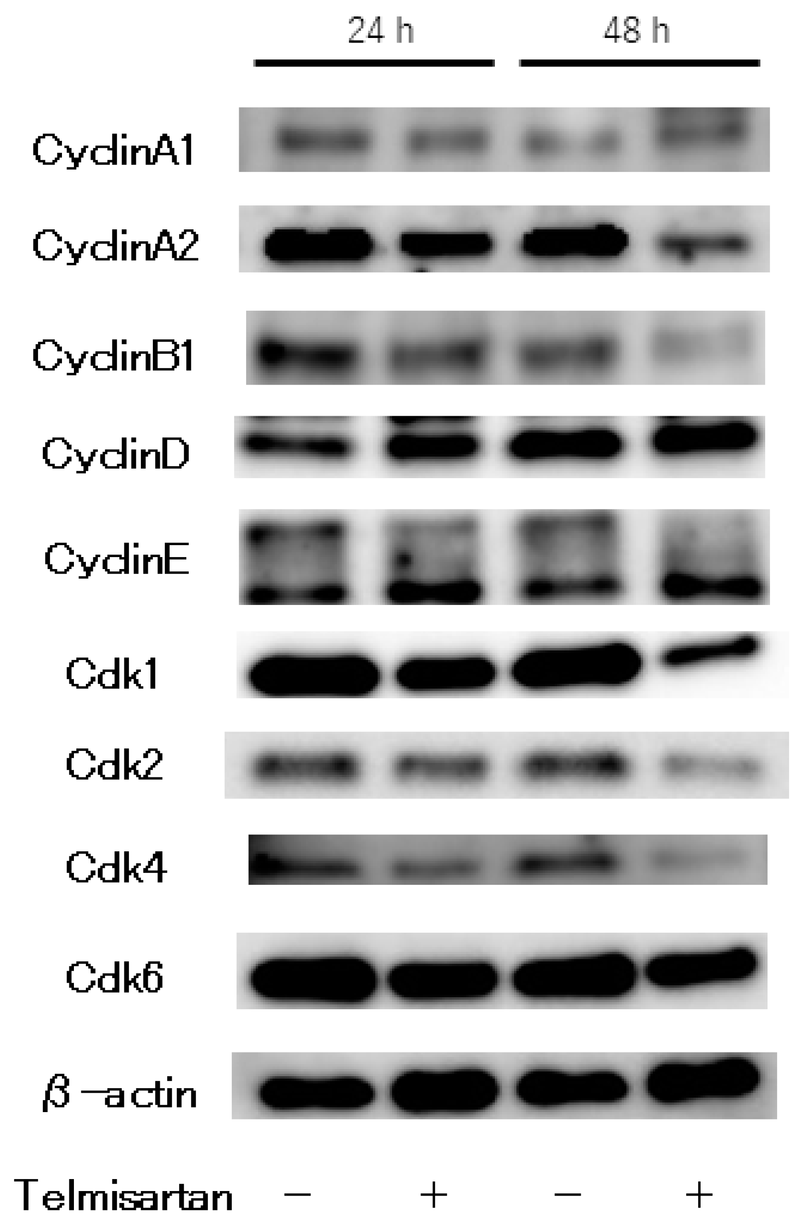 Ijms 20 03197 g003 Ijms 20 03197 g003