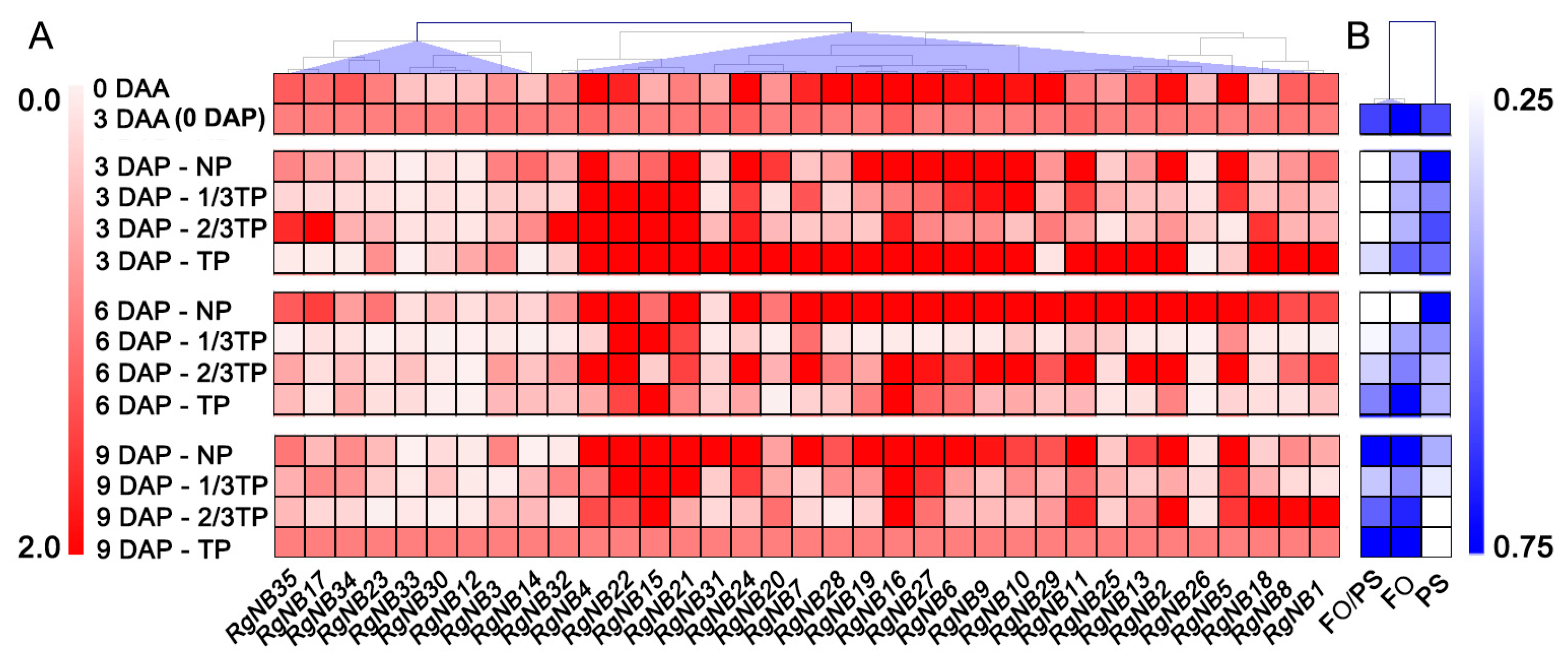 Ijms 20 03203 g005 Ijms 20 03203 g005
