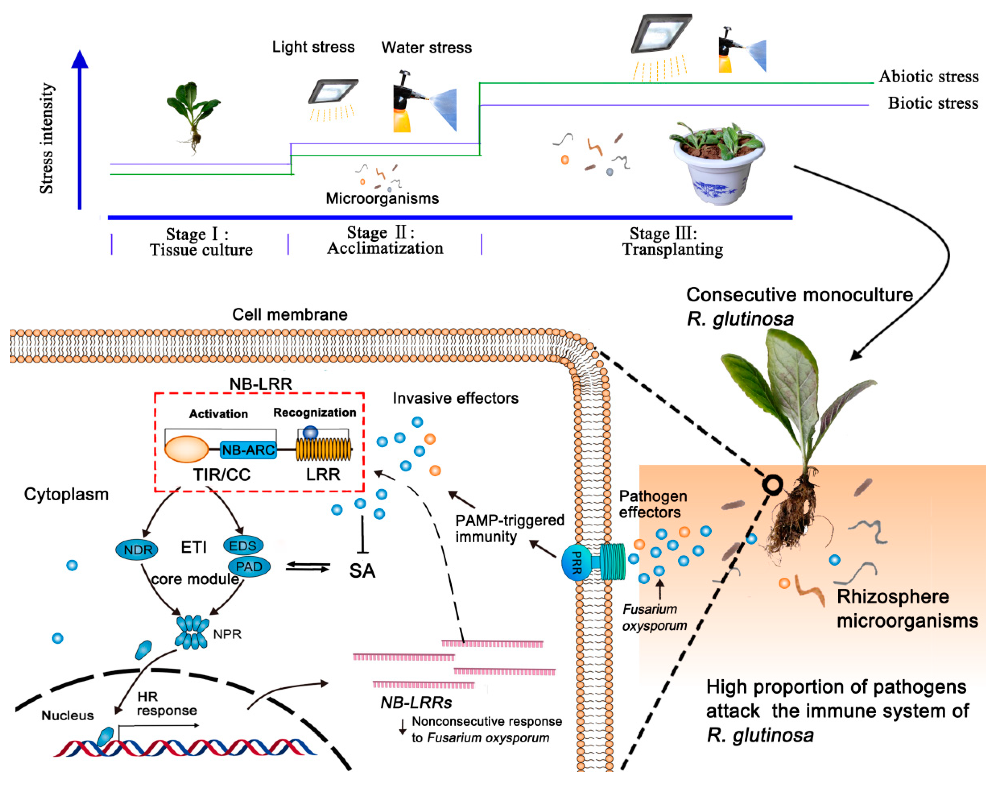 Ijms 20 03203 g006 Ijms 20 03203 g006