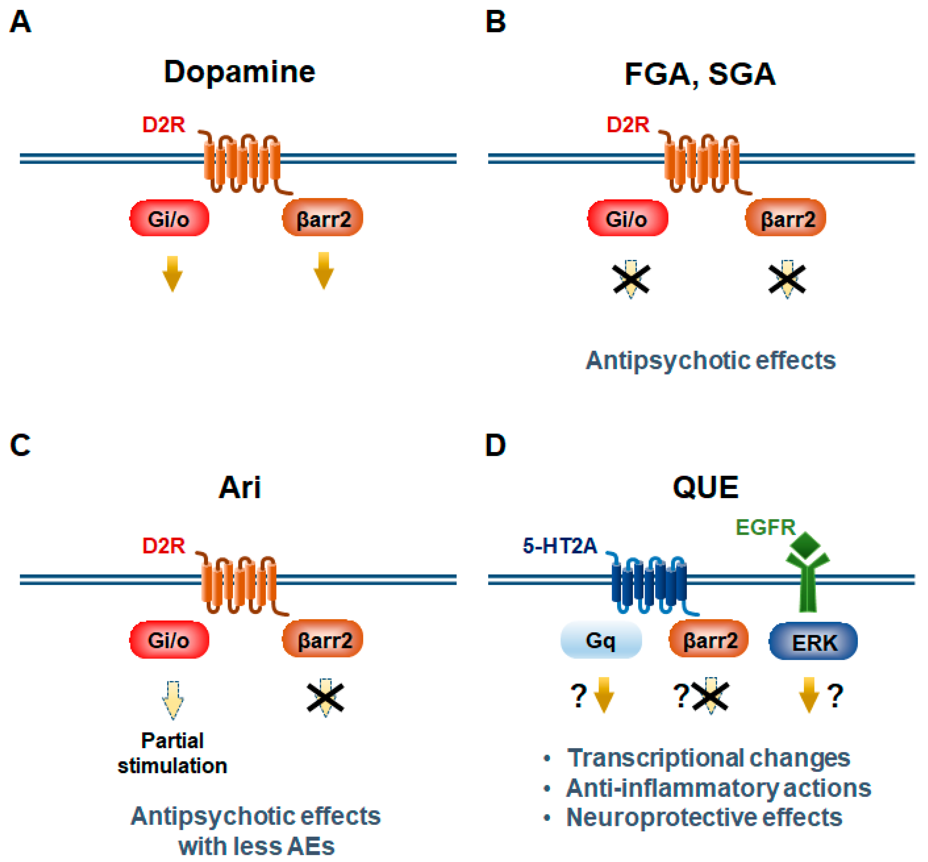 Ijms 20 03207 g003 Ijms 20 03207 g003