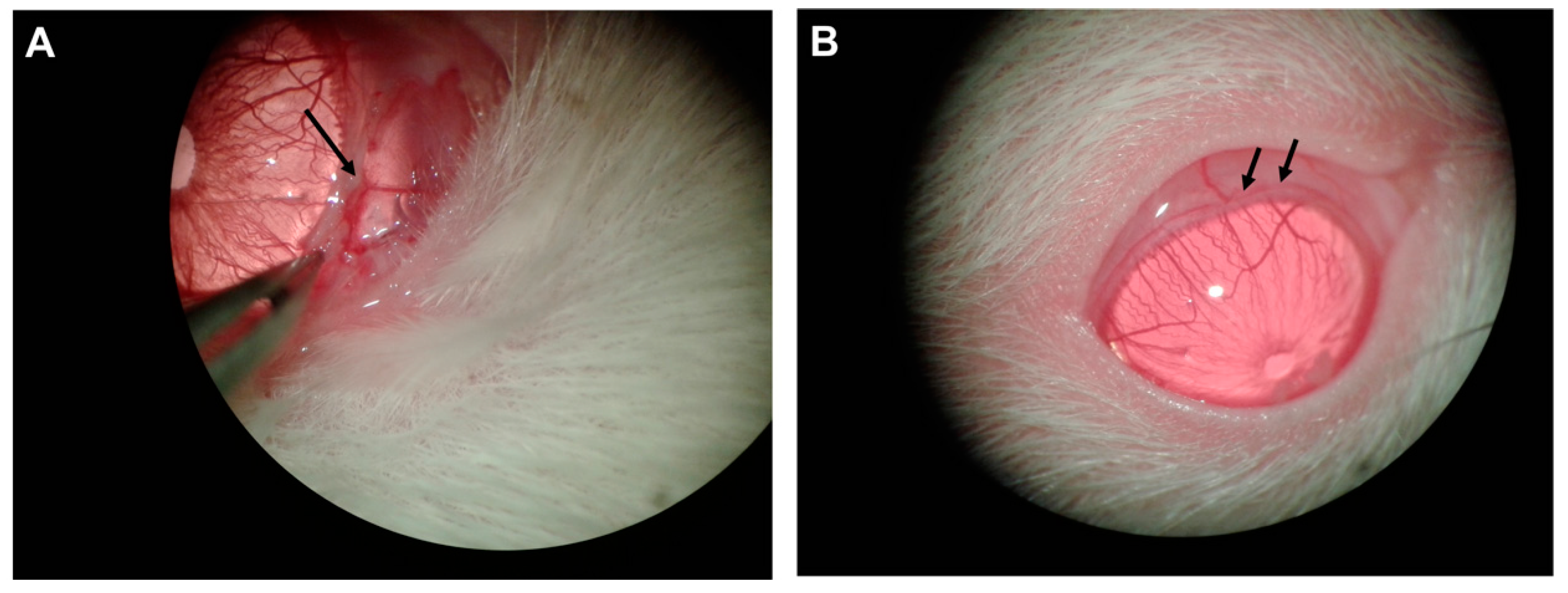 Ijms 20 03209 g001 Ijms 20 03209 g001