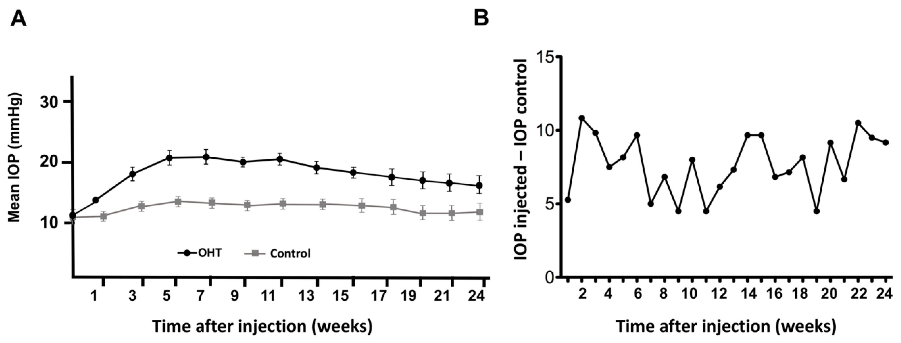 Ijms 20 03209 g002 Ijms 20 03209 g002