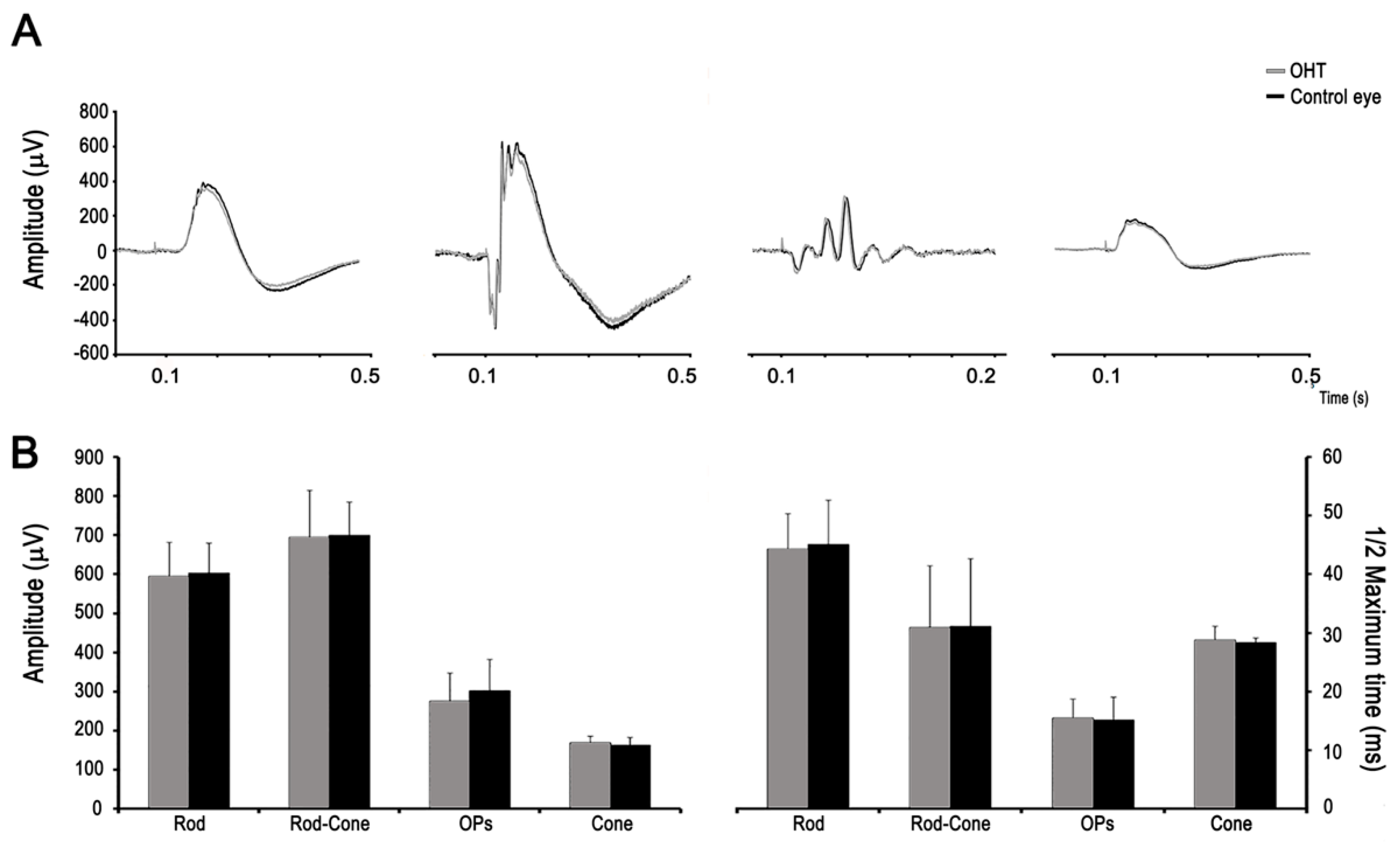 Ijms 20 03209 g004 Ijms 20 03209 g004