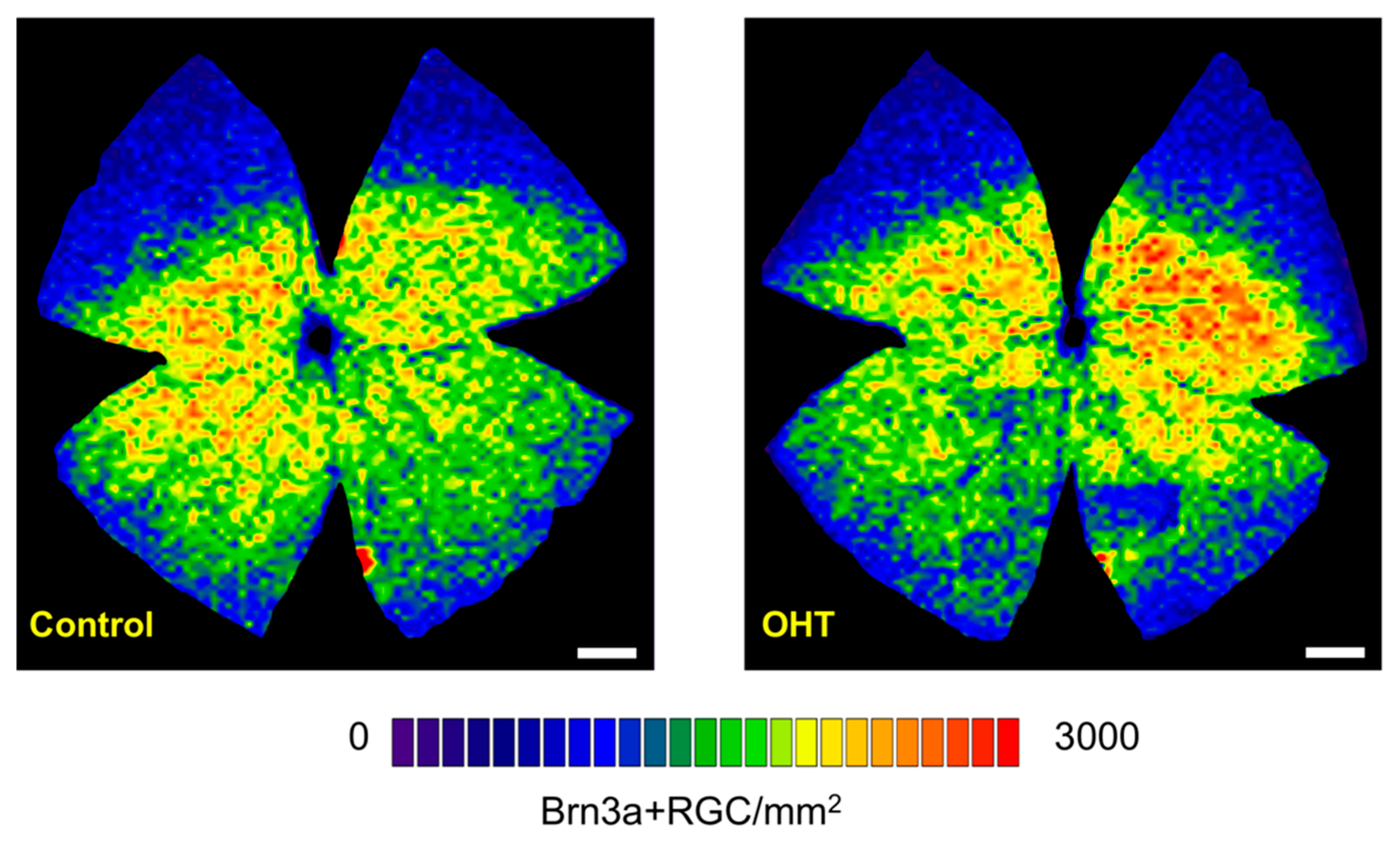 Ijms 20 03209 g006 Ijms 20 03209 g006