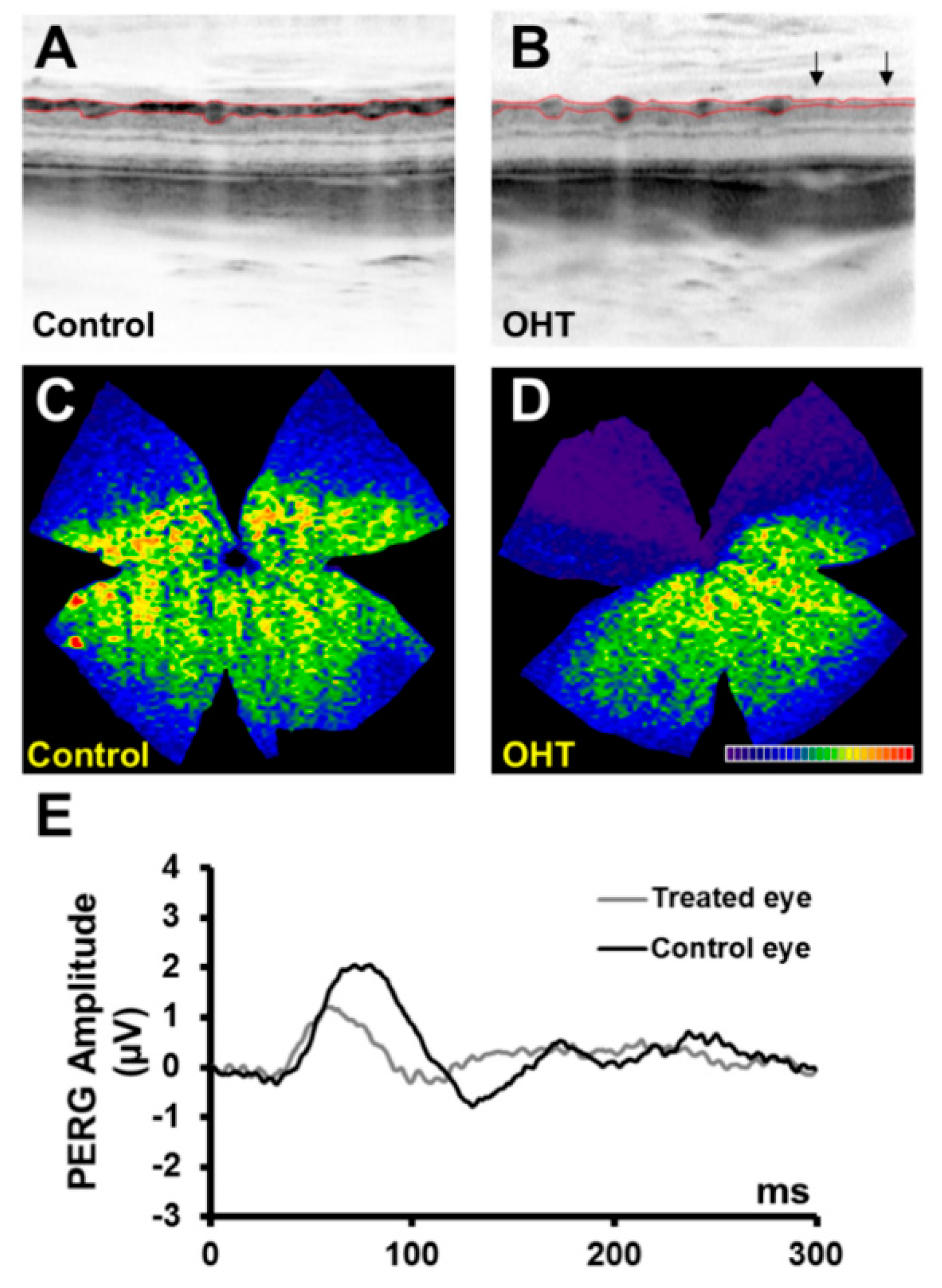 Ijms 20 03209 g007 Ijms 20 03209 g007