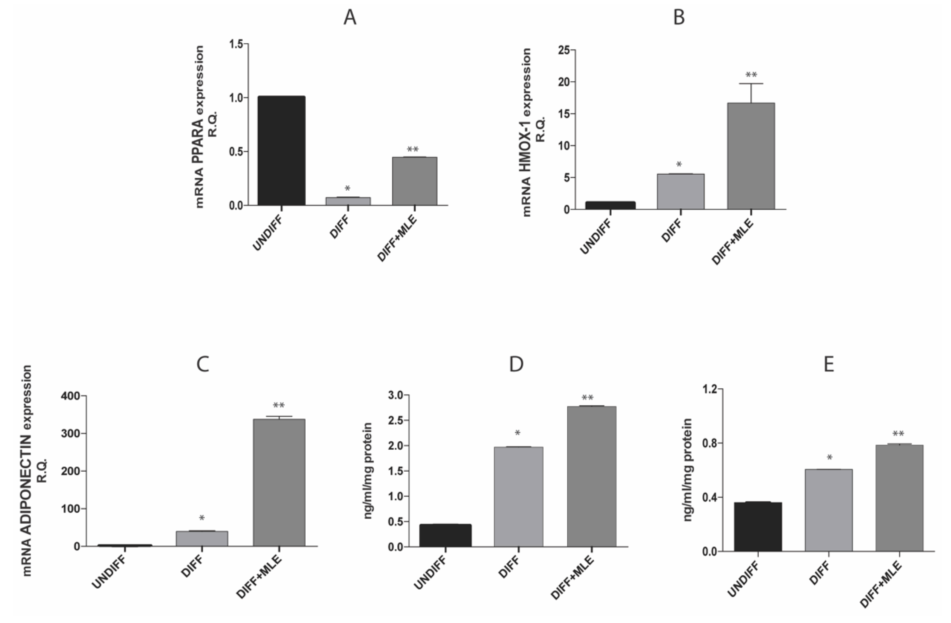 Ijms 20 03211 g007 Ijms 20 03211 g007