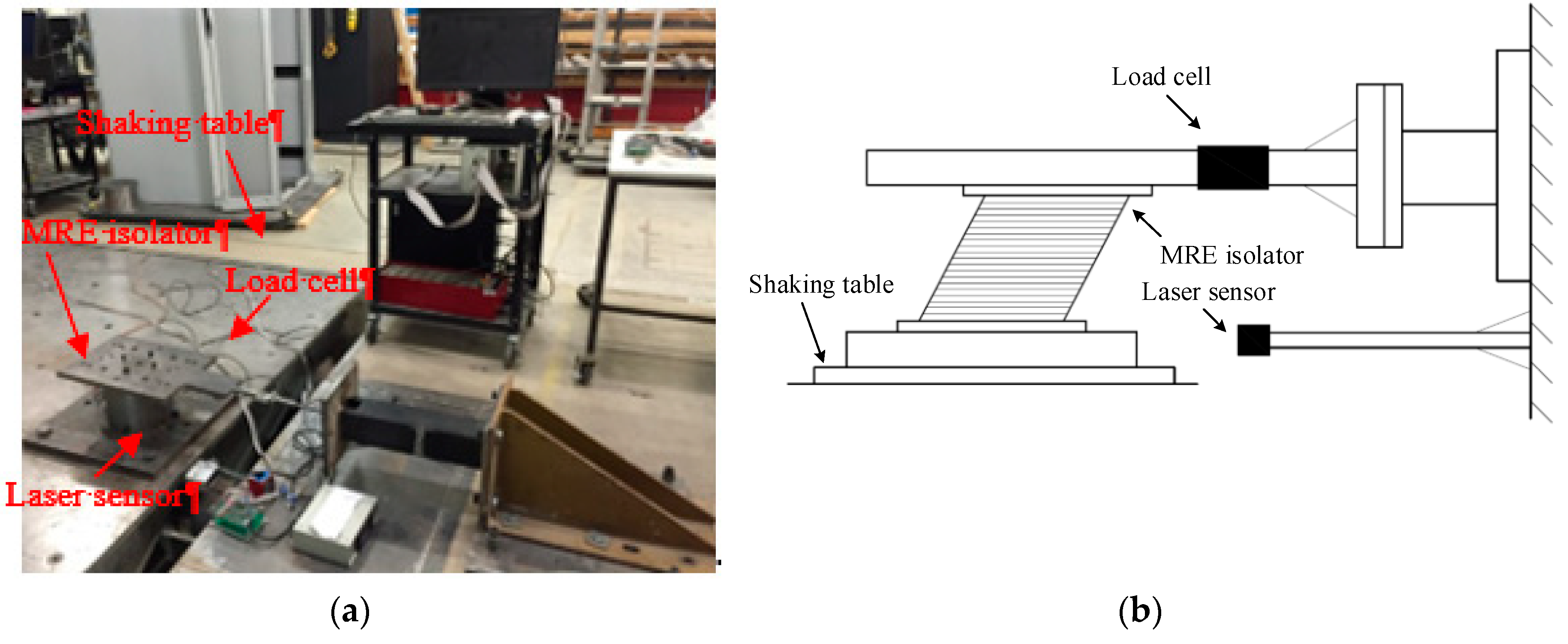 Ijms 20 03216 g011 Ijms 20 03216 g011