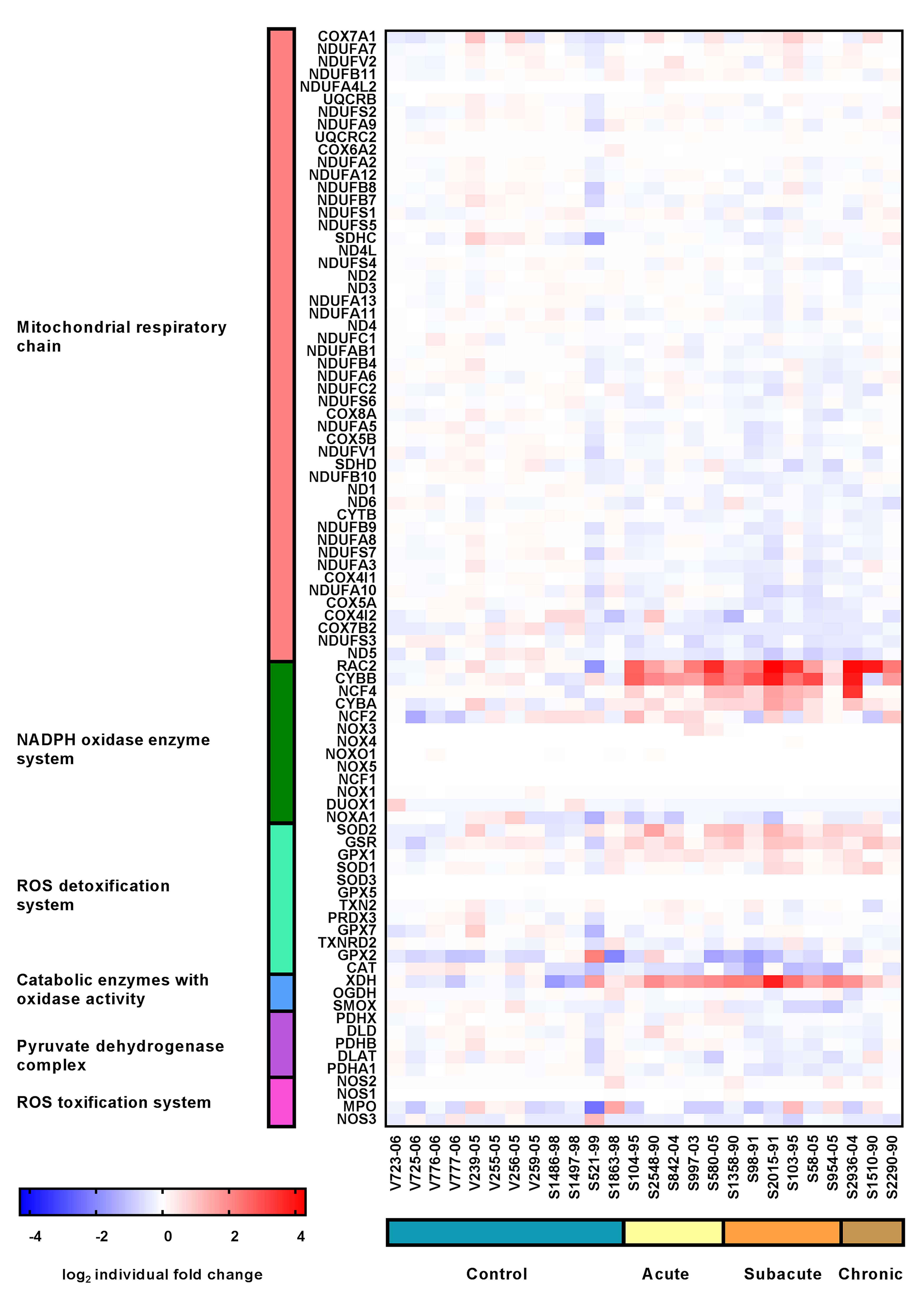 Ijms 20 03217 g009 Ijms 20 03217 g009