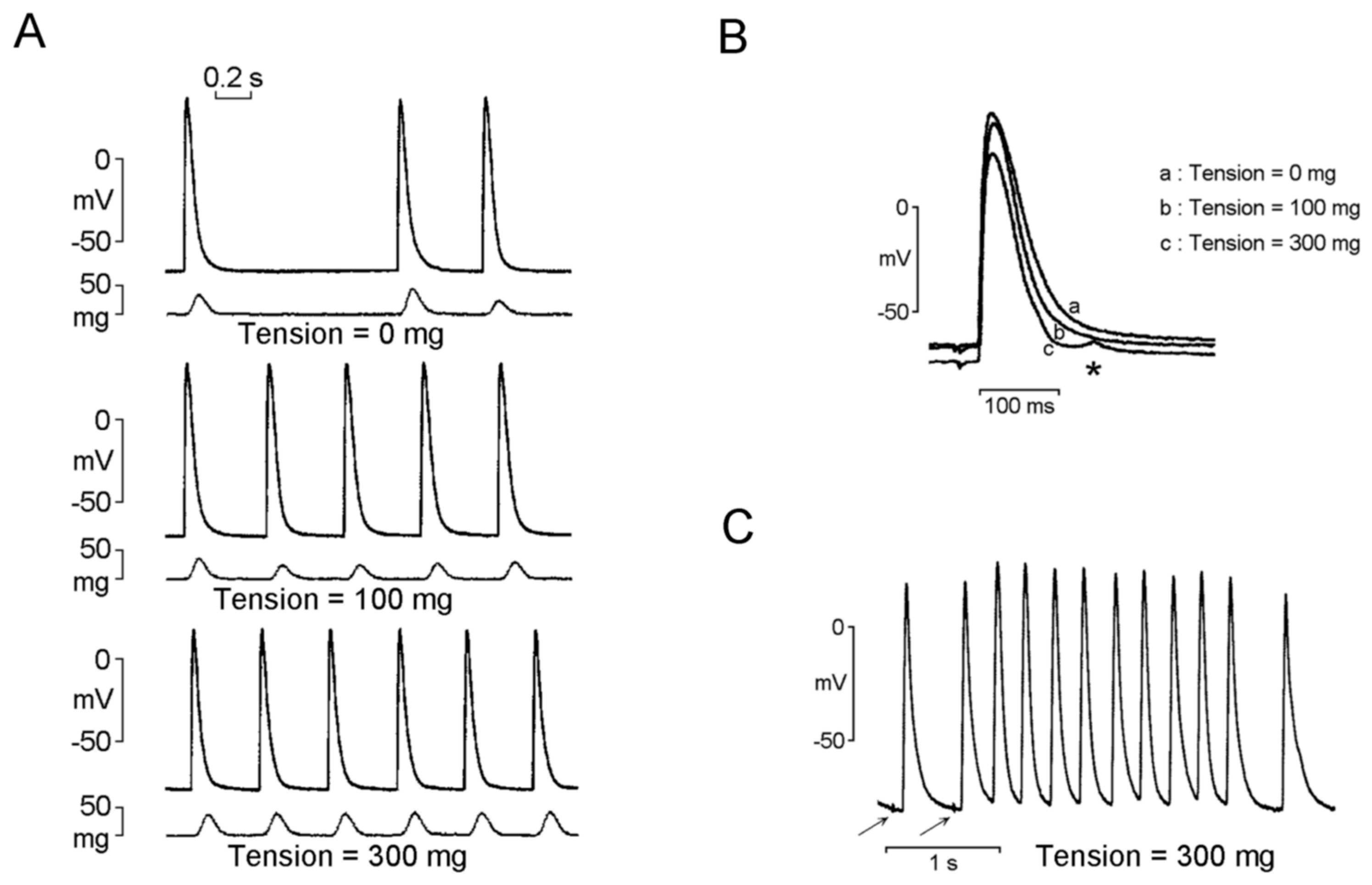 Ijms 20 03224 g001 Ijms 20 03224 g001