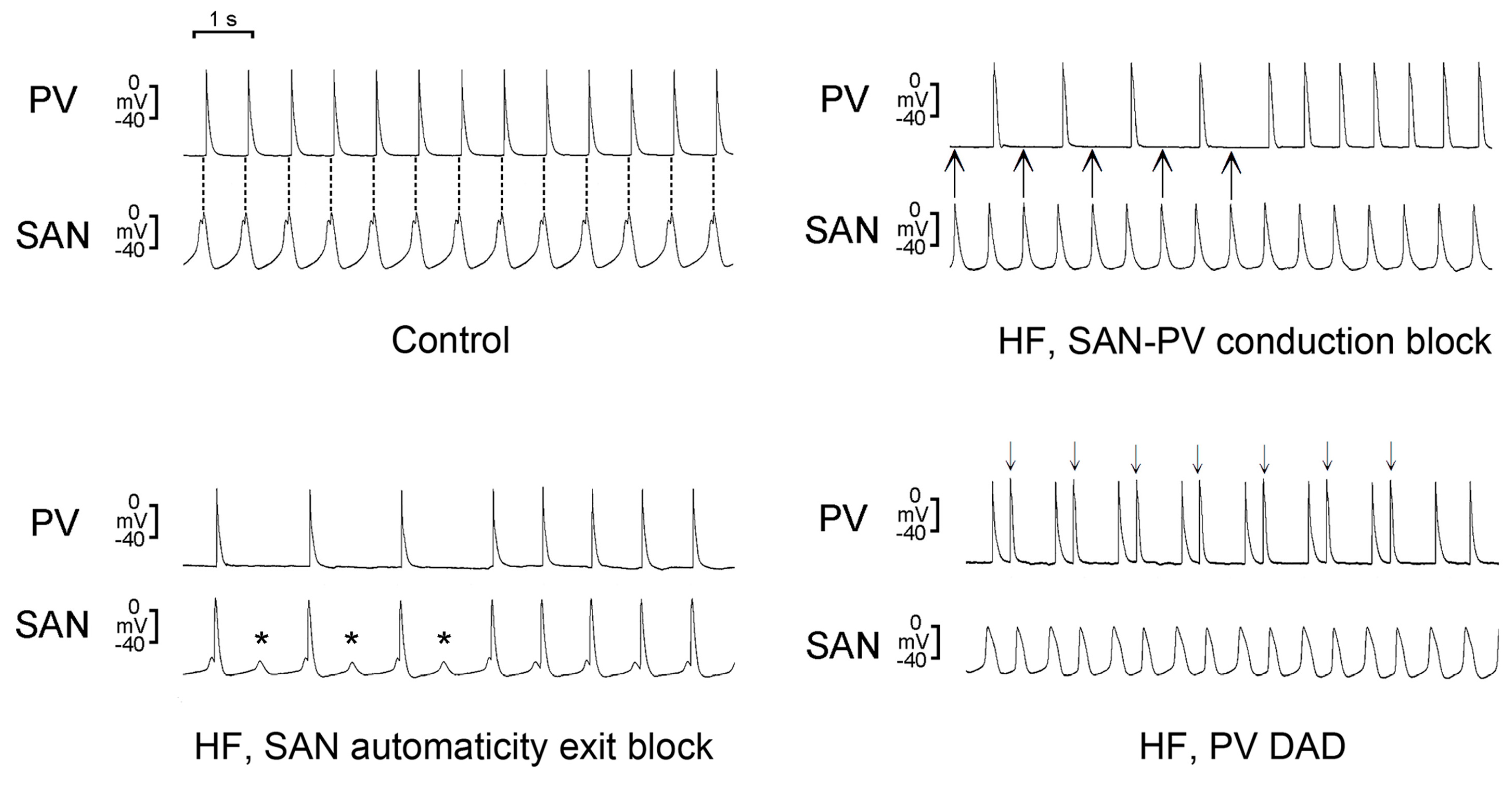 Ijms 20 03224 g004 Ijms 20 03224 g004