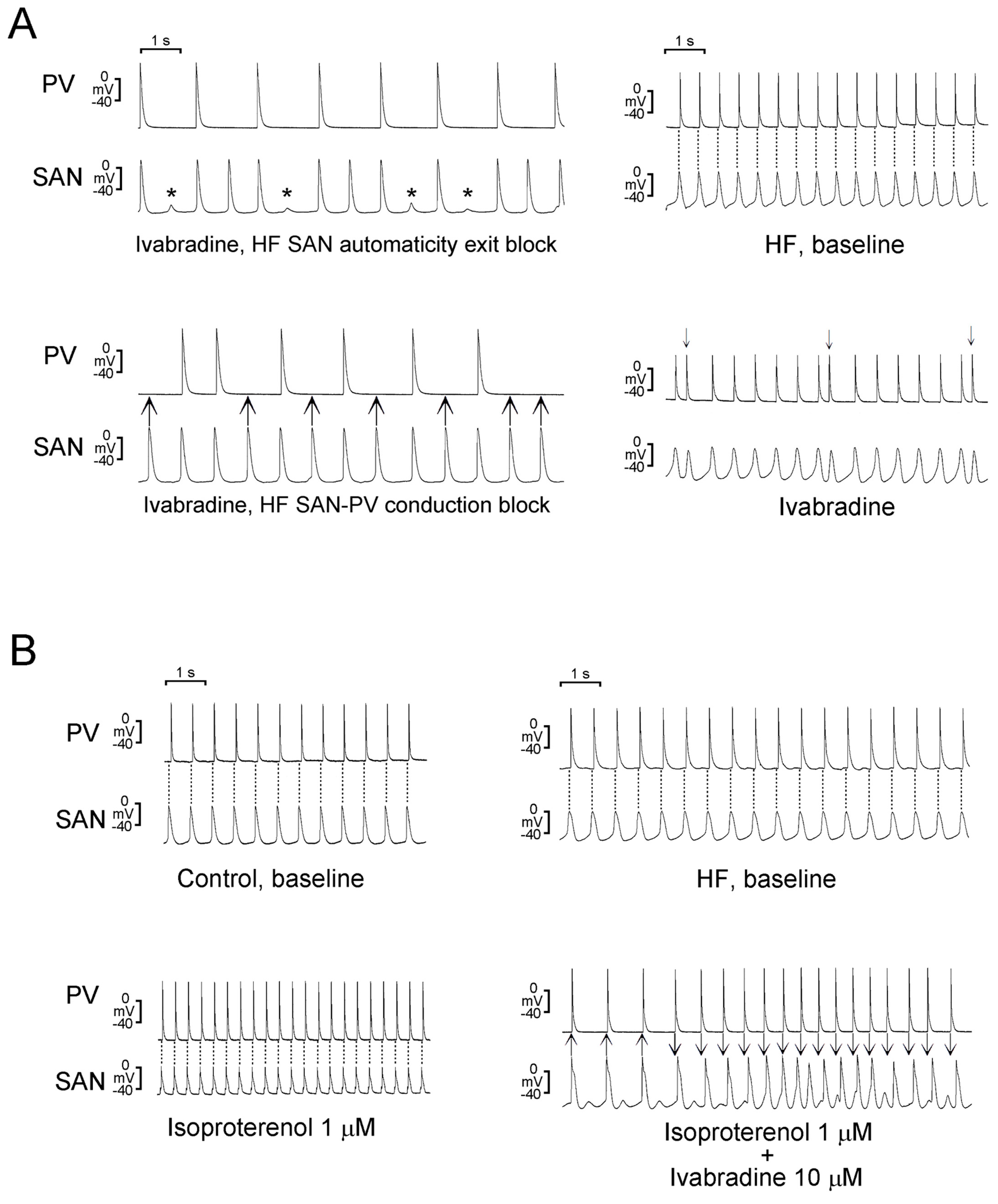 Ijms 20 03224 g005 Ijms 20 03224 g005