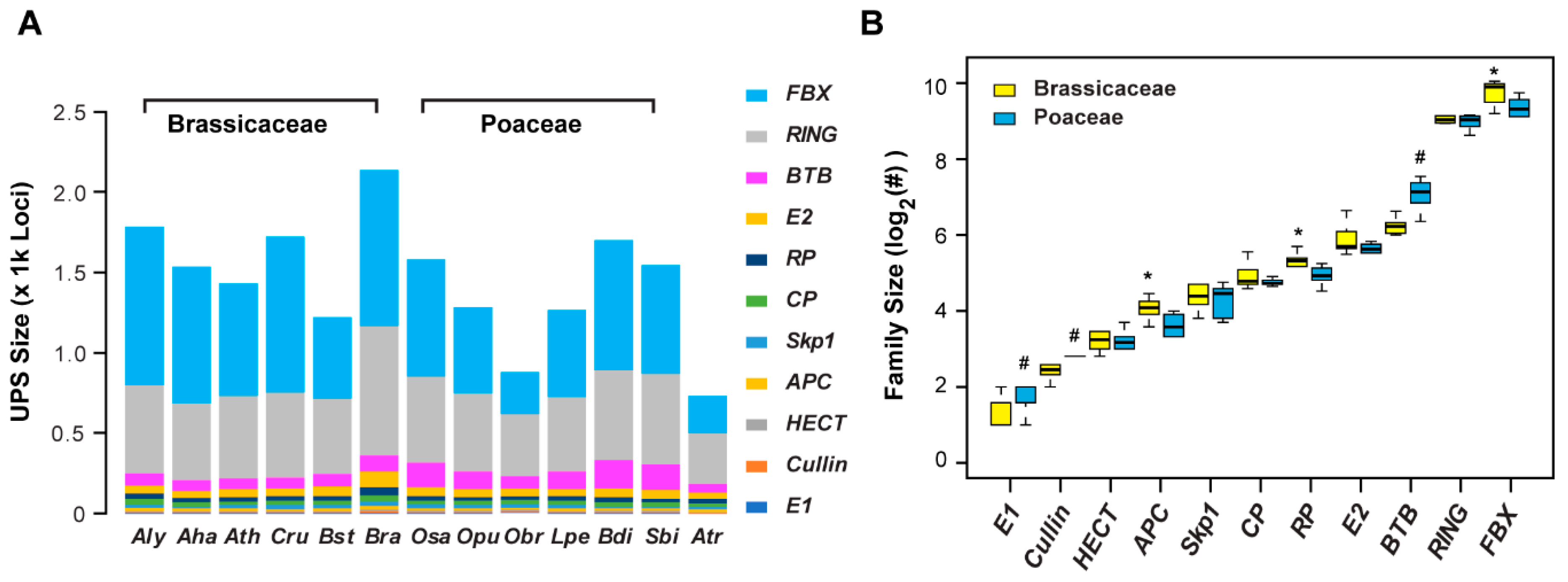 Ijms 20 03226 g002 Ijms 20 03226 g002