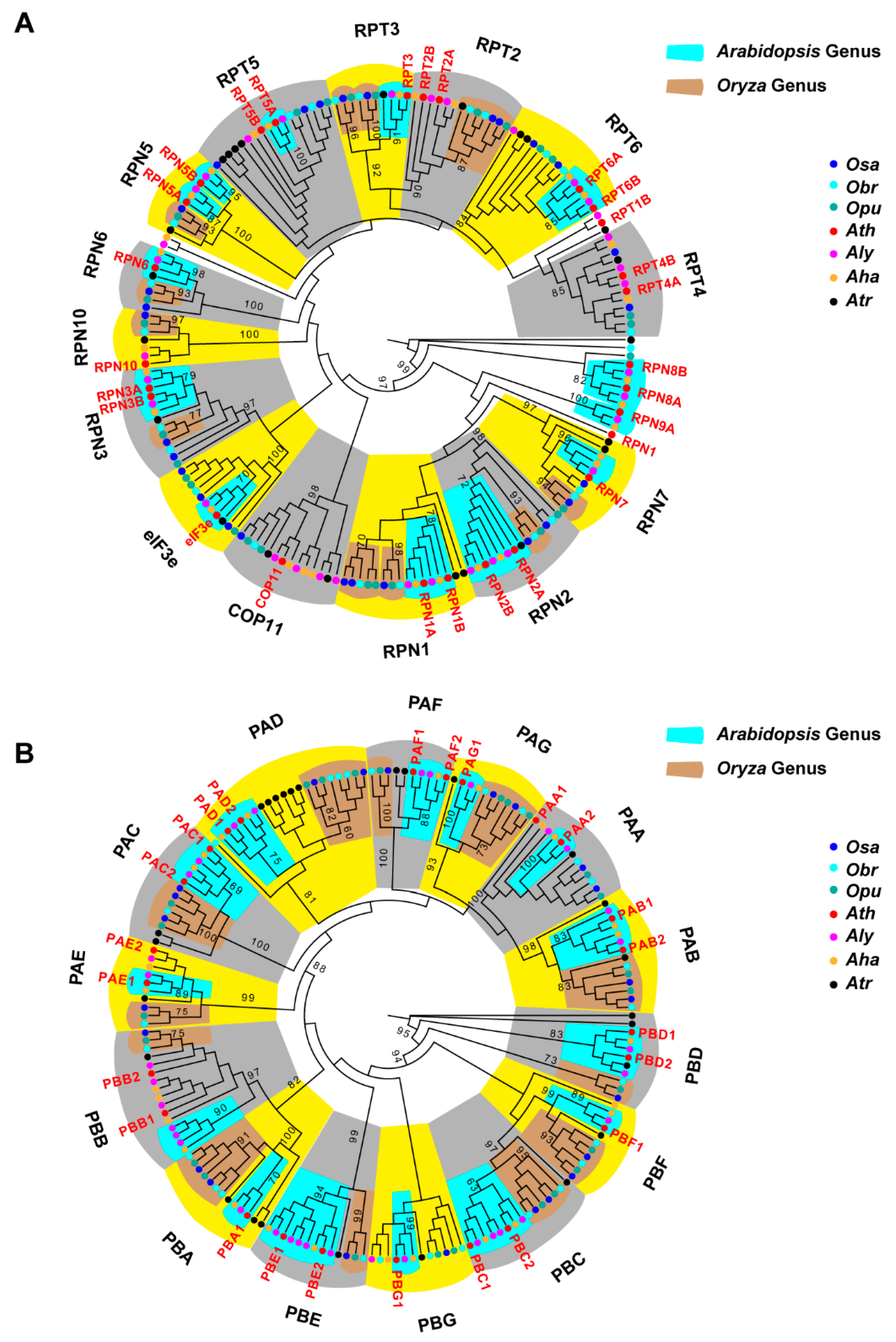 Ijms 20 03226 g008 Ijms 20 03226 g008