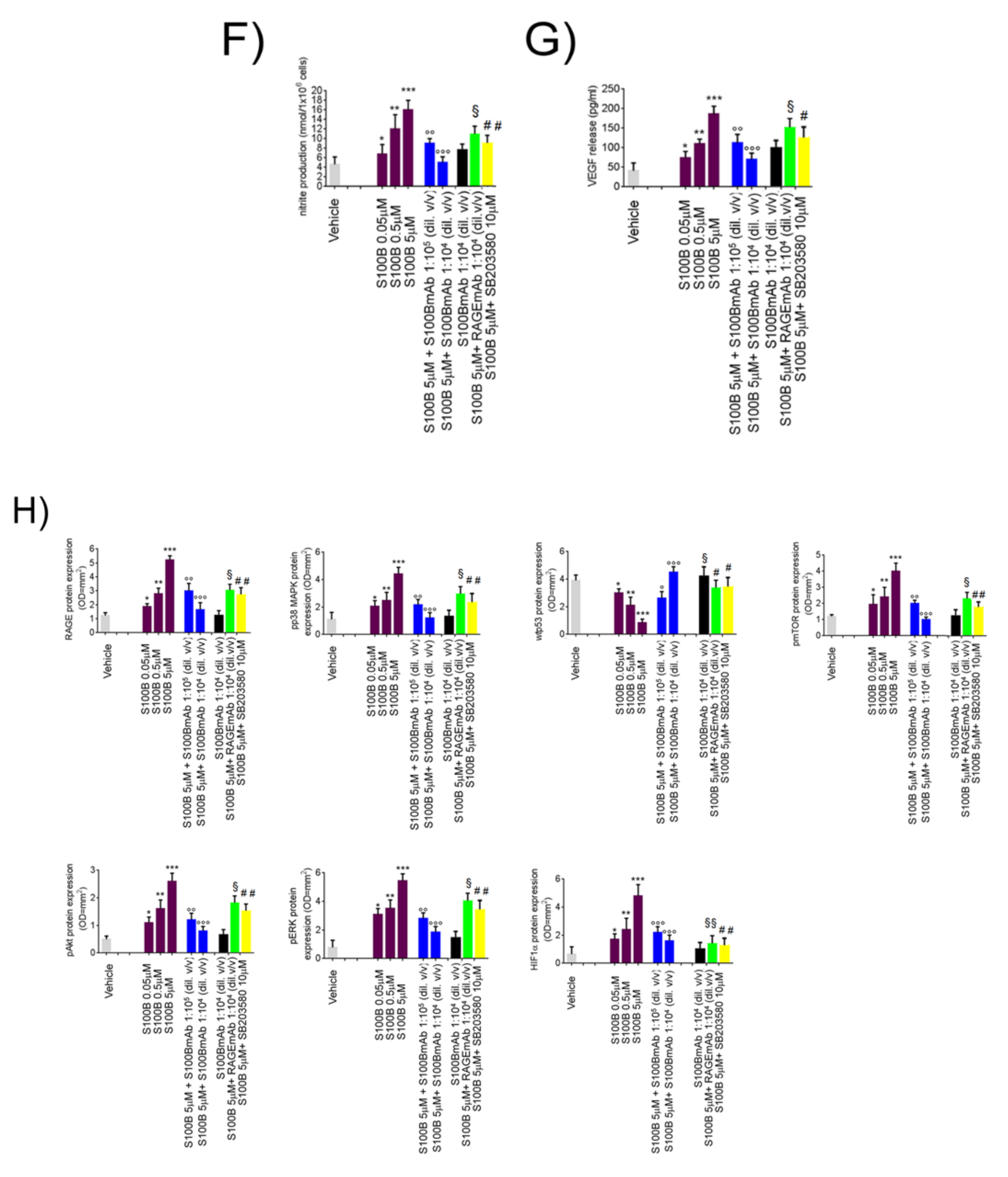 Ijms 20 03240 g002c Ijms 20 03240 g002c