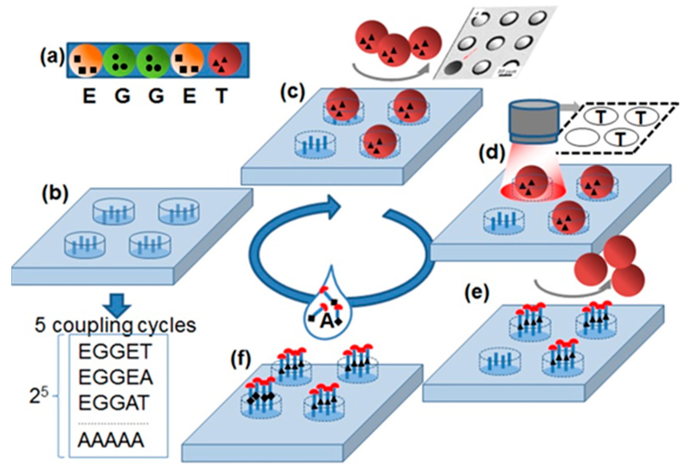 Ijms 20 03250 g001 550