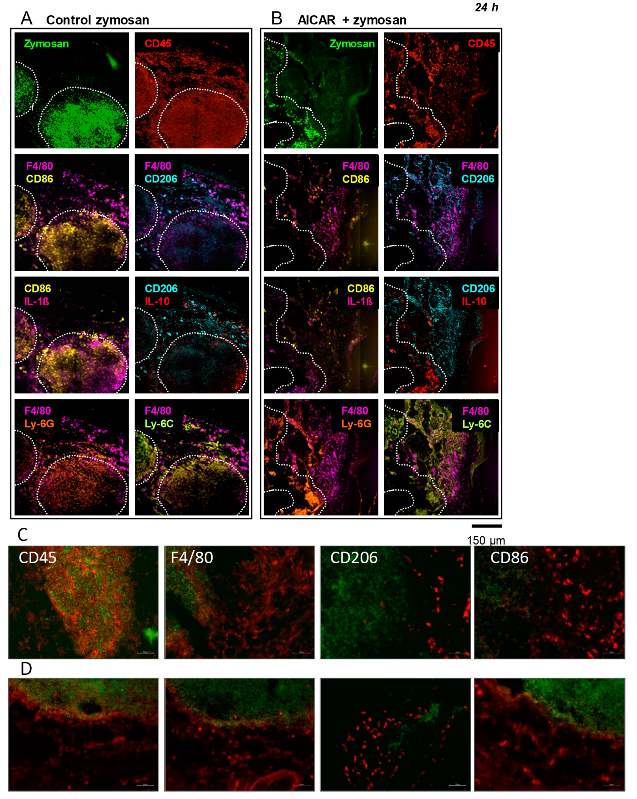 Ijms 20 03255 g003 Ijms 20 03255 g003