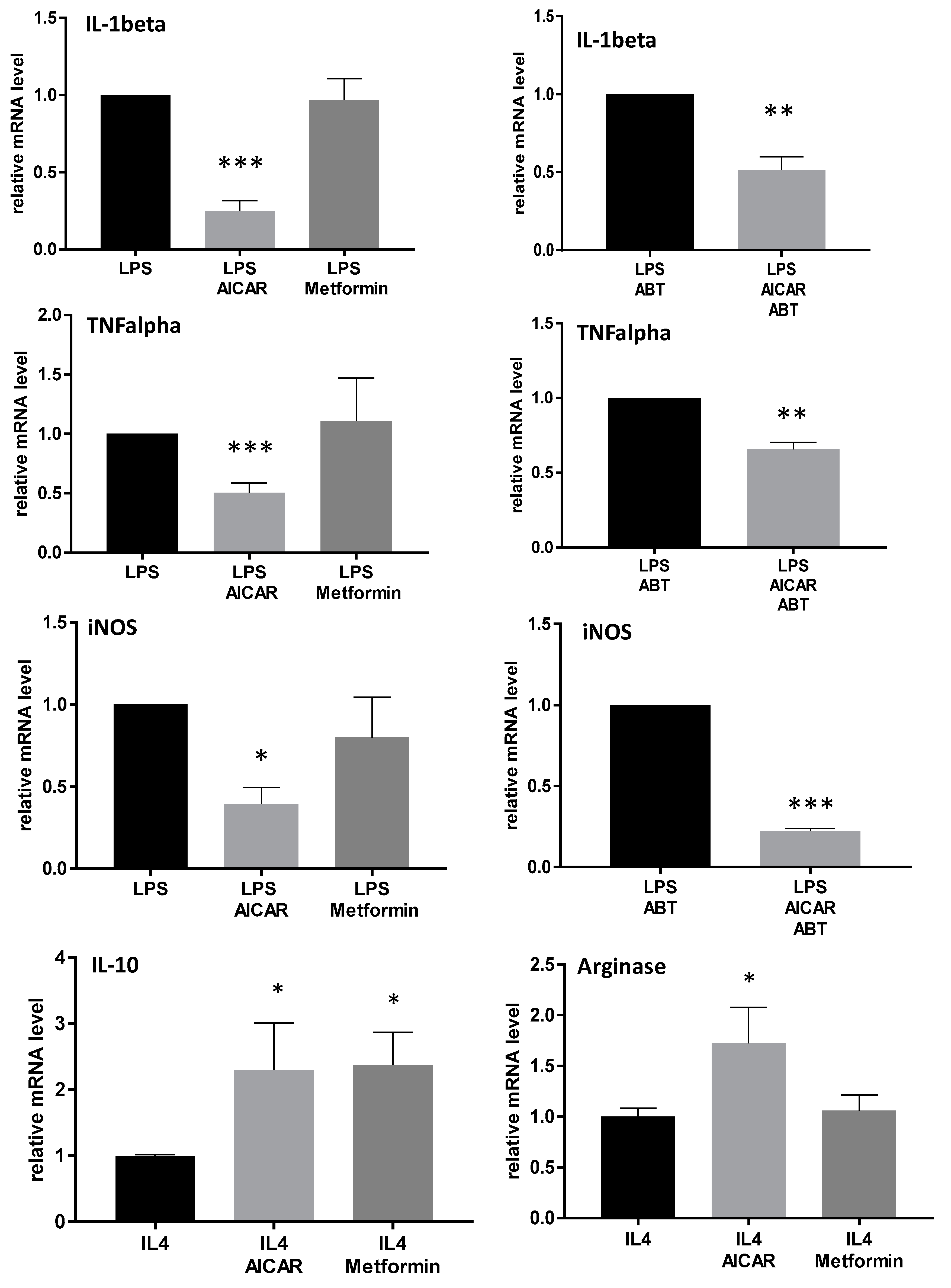 Ijms 20 03255 g005 Ijms 20 03255 g005