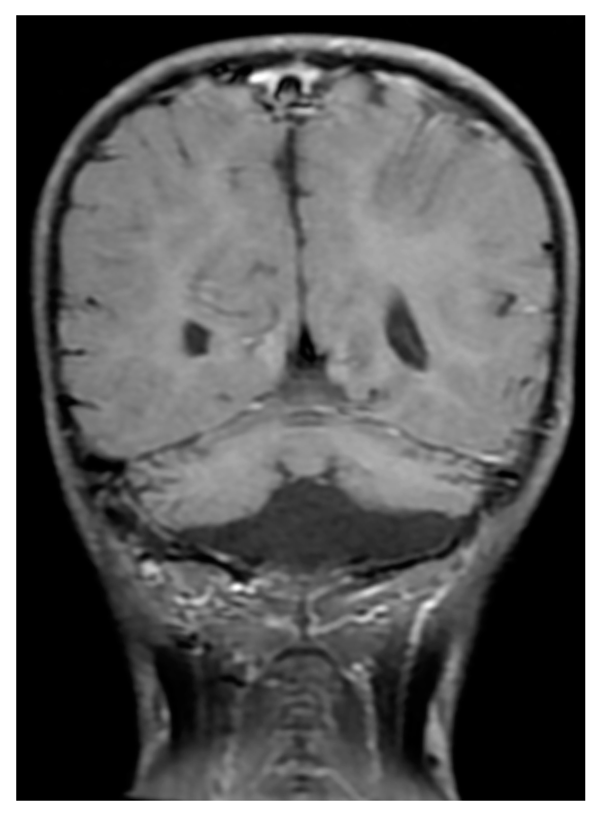 Ijms 20 03261 g002 Ijms 20 03261 g002