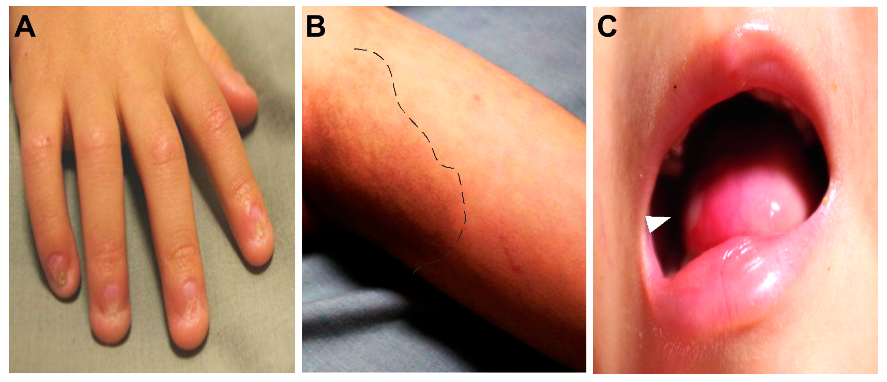 Ijms 20 03261 g003 Ijms 20 03261 g003