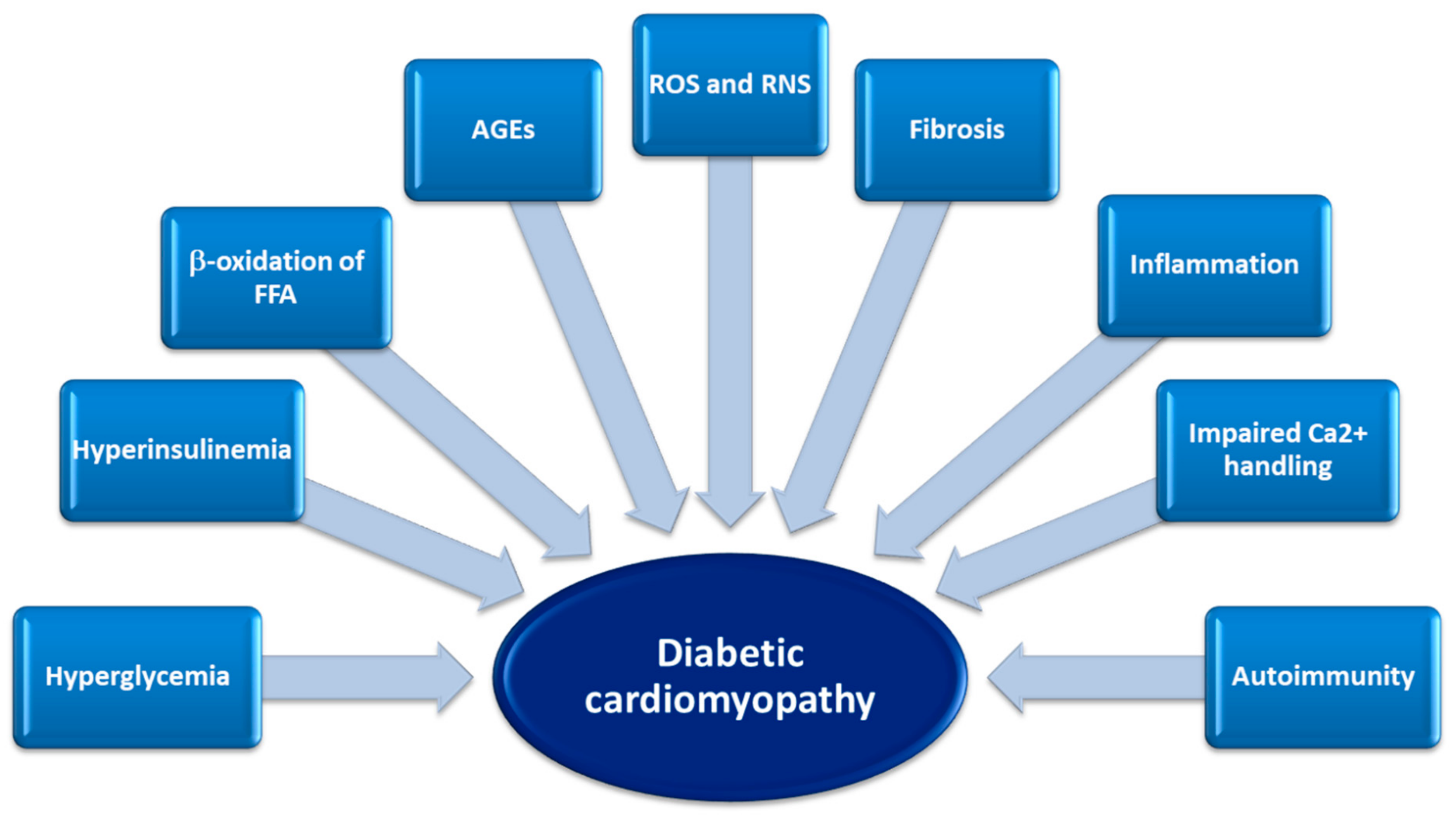 bemutatása 2. típusú diabetes mellitus)