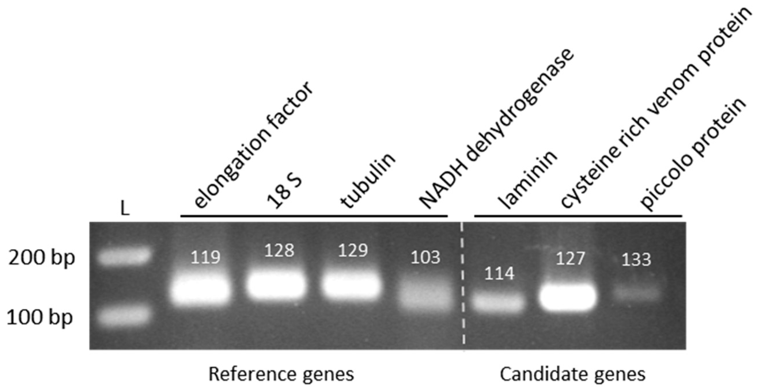 Ijms 20 03266 g002 Ijms 20 03266 g002