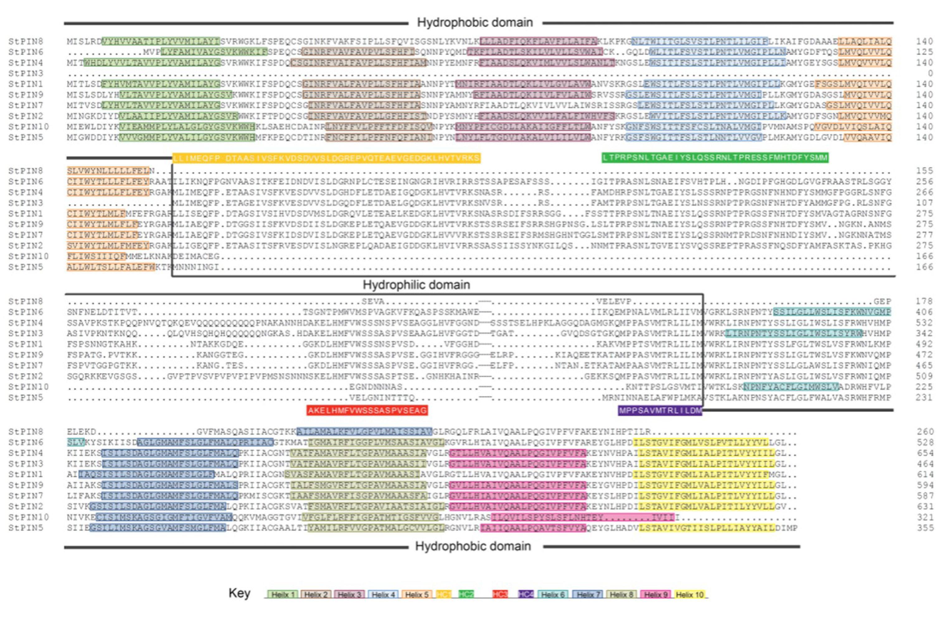 Ijms 20 03270 g003 Ijms 20 03270 g003