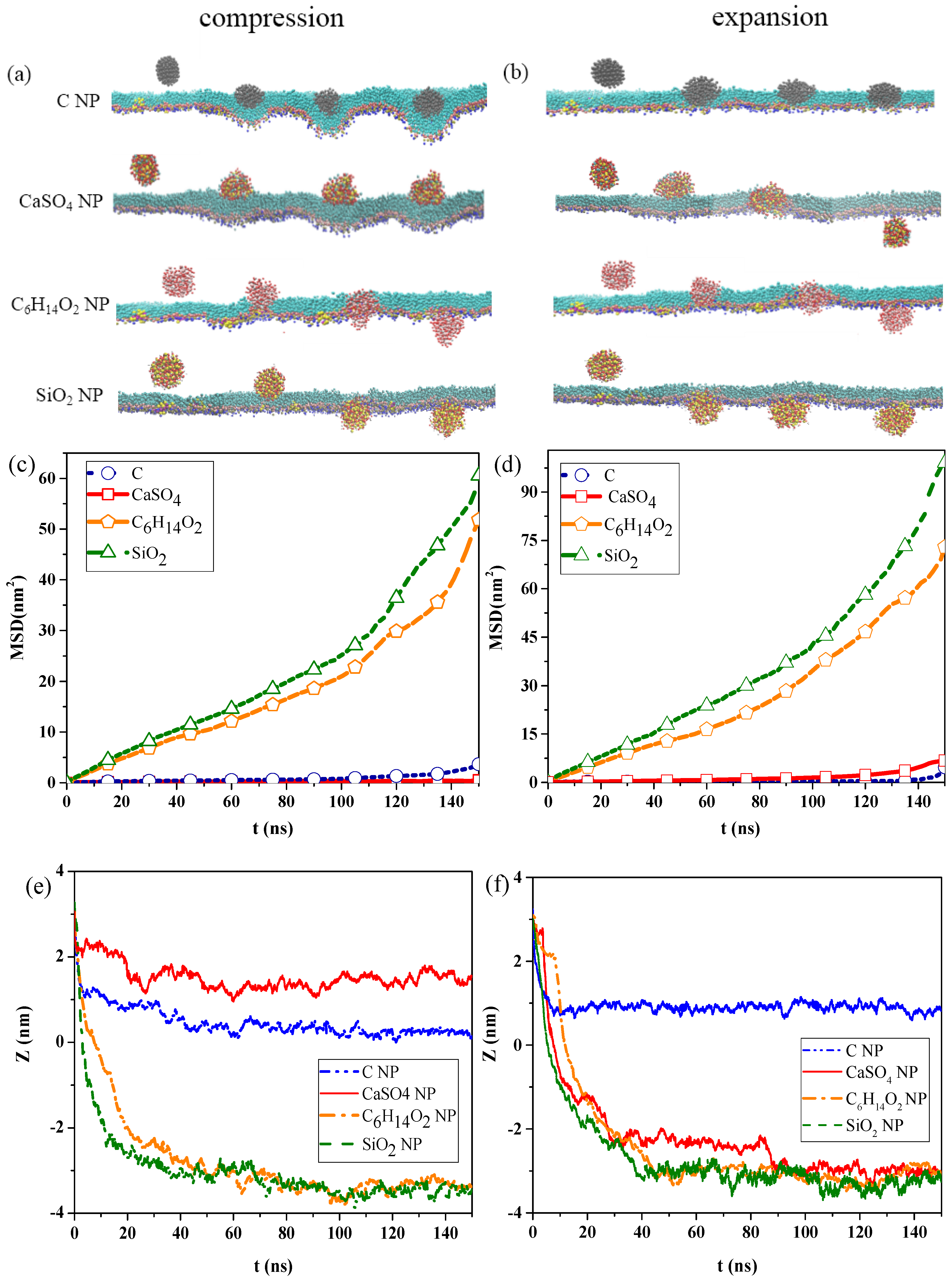 A Simulation Study on the Interaction Between Pollutant