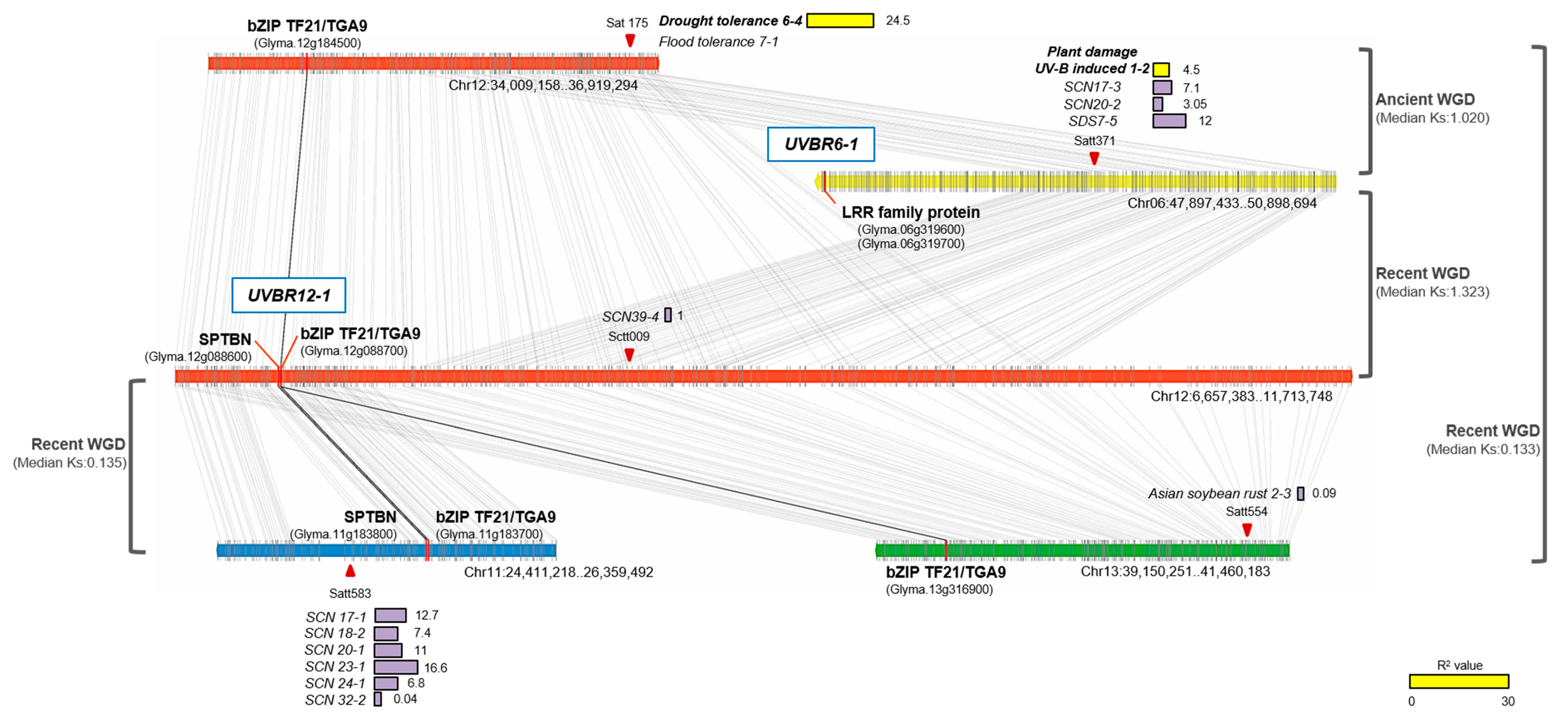 Ijms 20 03287 g005 Ijms 20 03287 g005