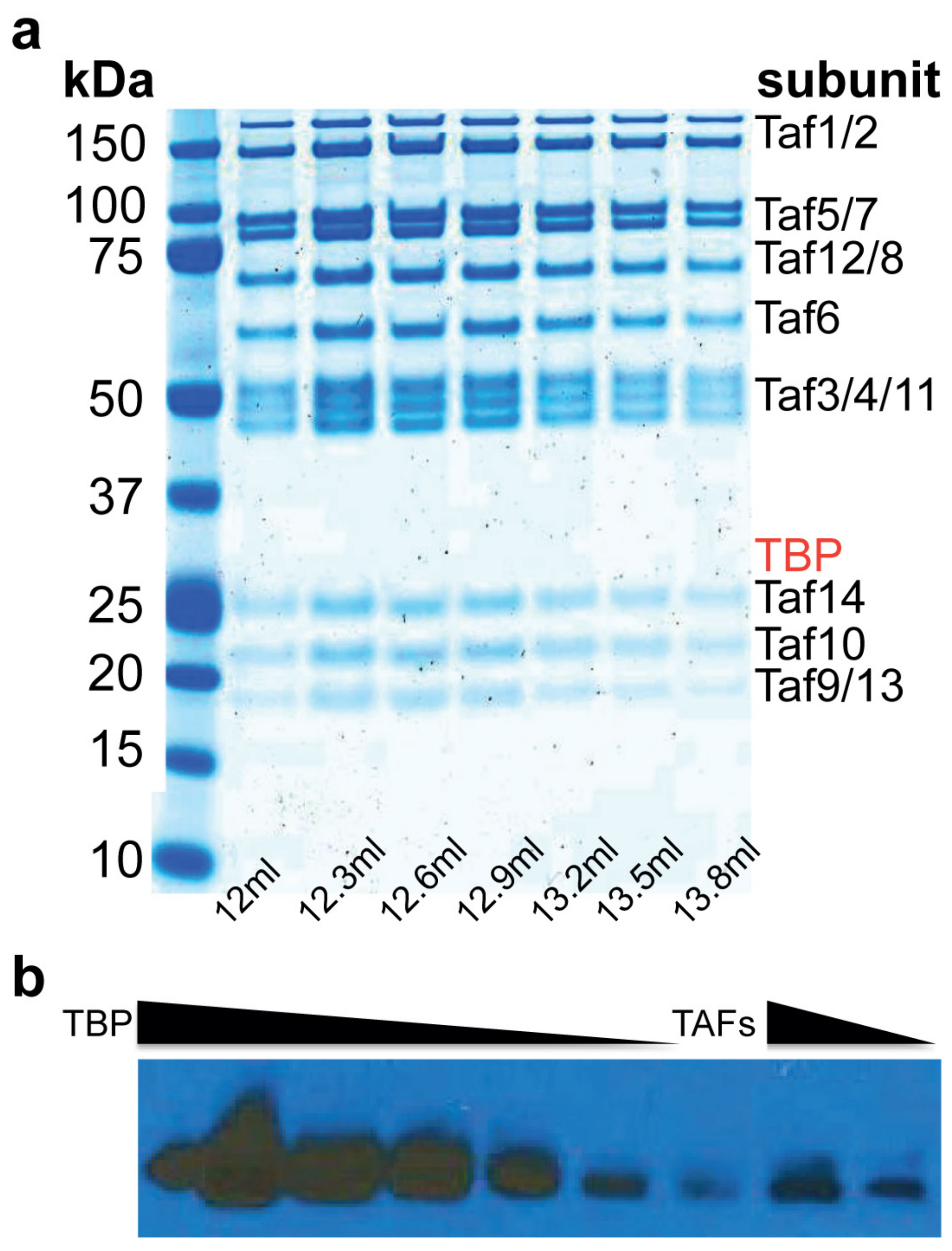 Ijms 20 03290 g001 Ijms 20 03290 g001