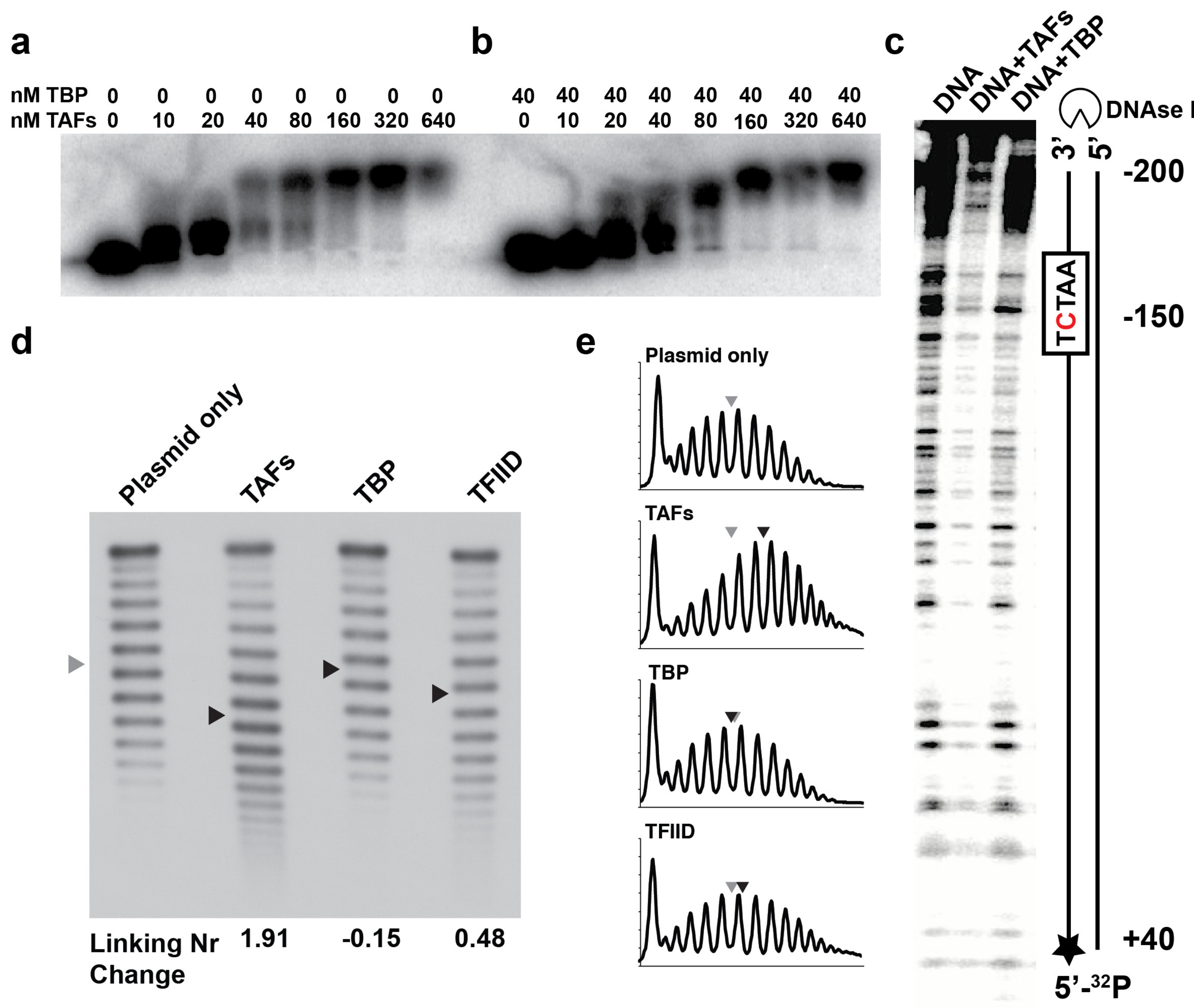 Ijms 20 03290 g002 Ijms 20 03290 g002