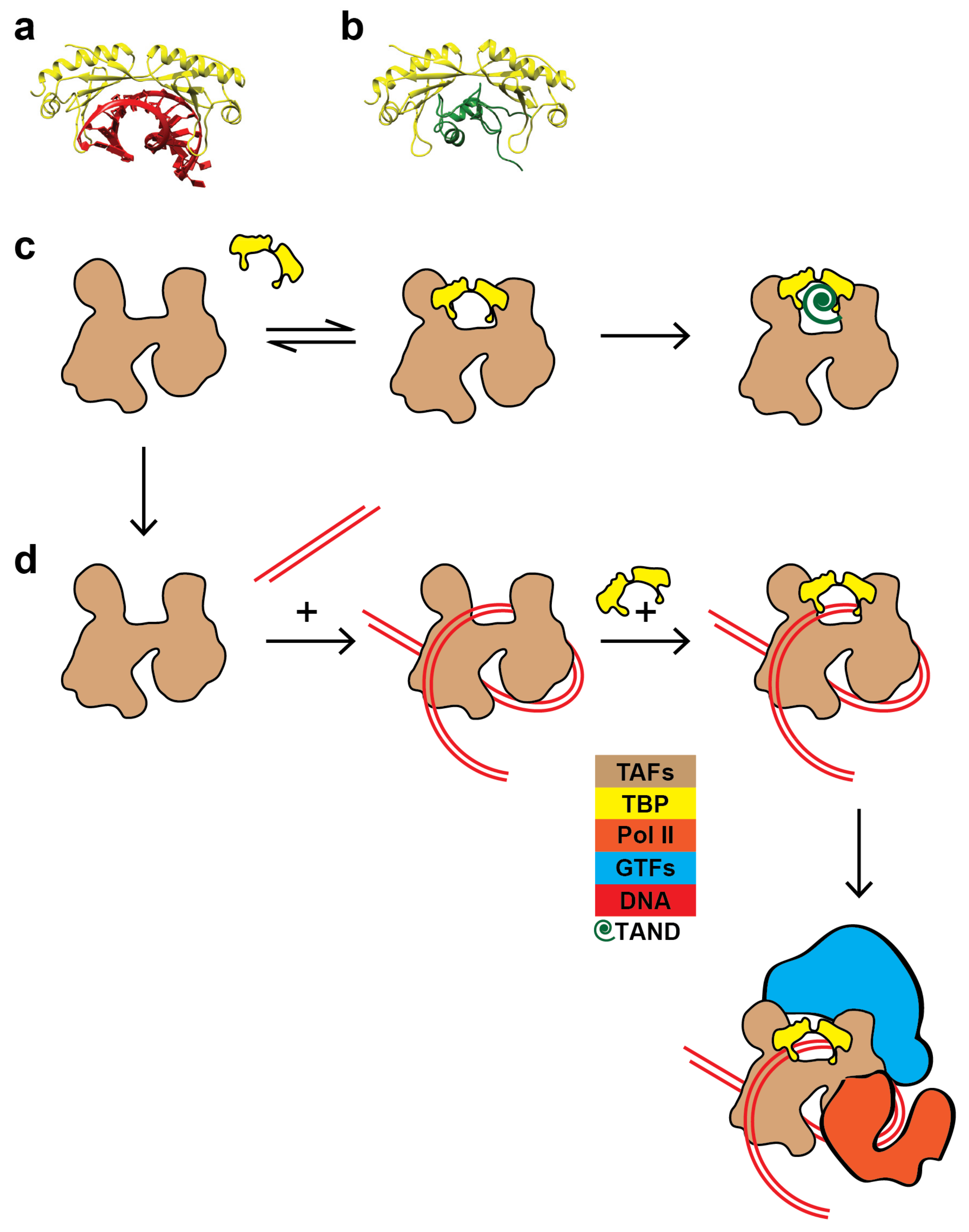 Ijms 20 03290 g005 Ijms 20 03290 g005