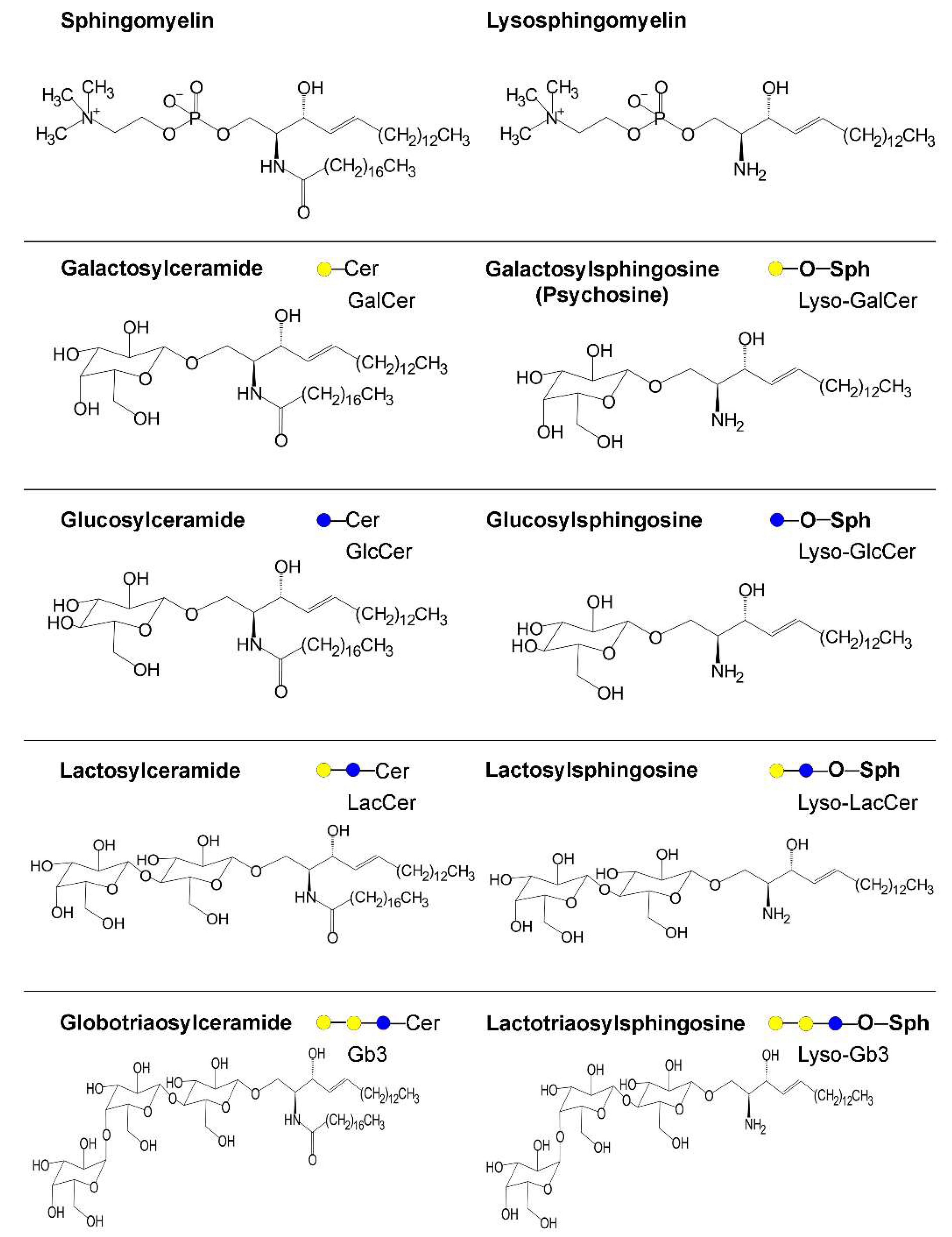 Ijms 20 03304 g003 Ijms 20 03304 g003