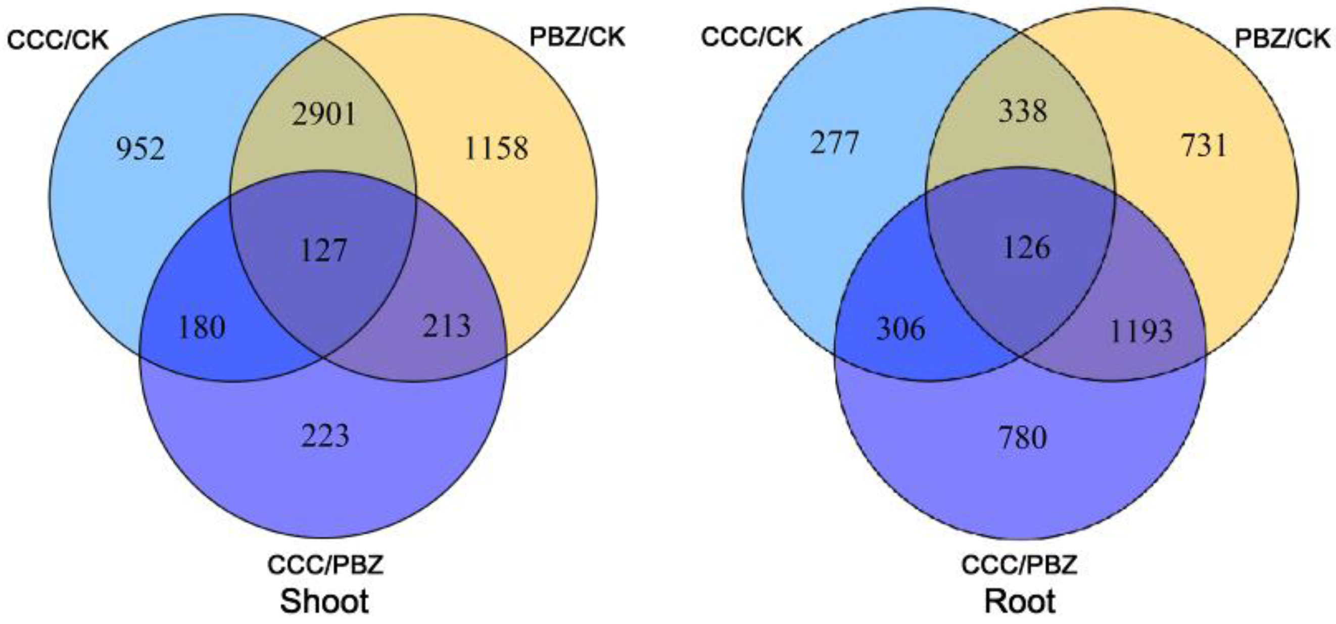Ijms 20 03307 g003 Ijms 20 03307 g003