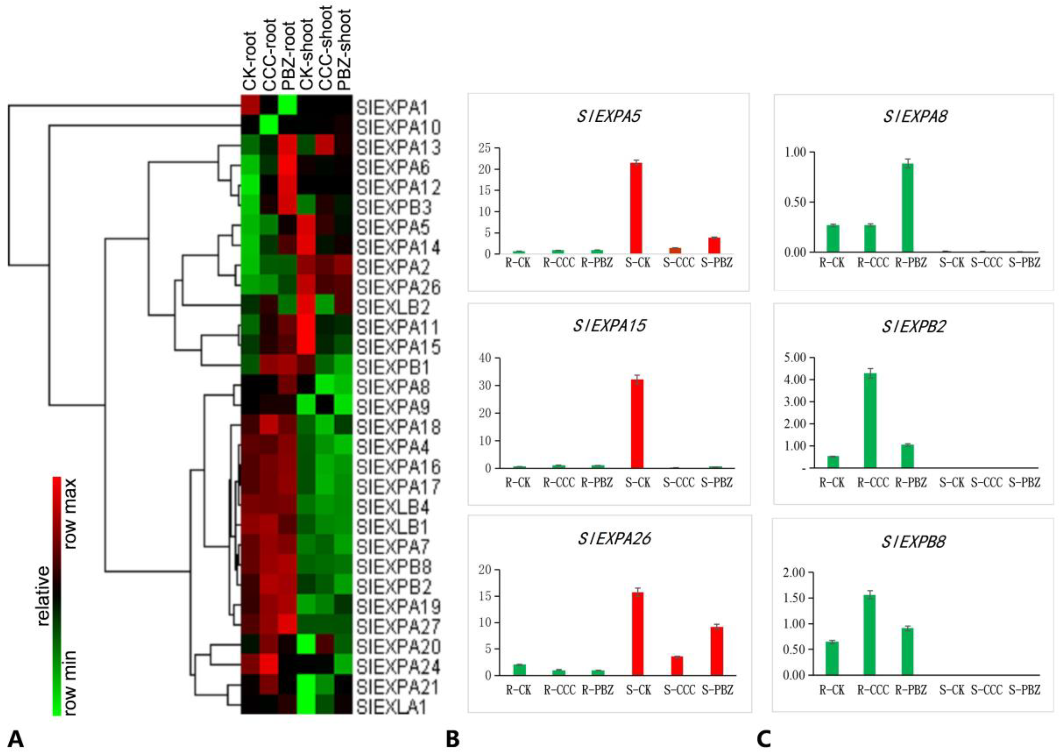 Ijms 20 03307 g007 Ijms 20 03307 g007