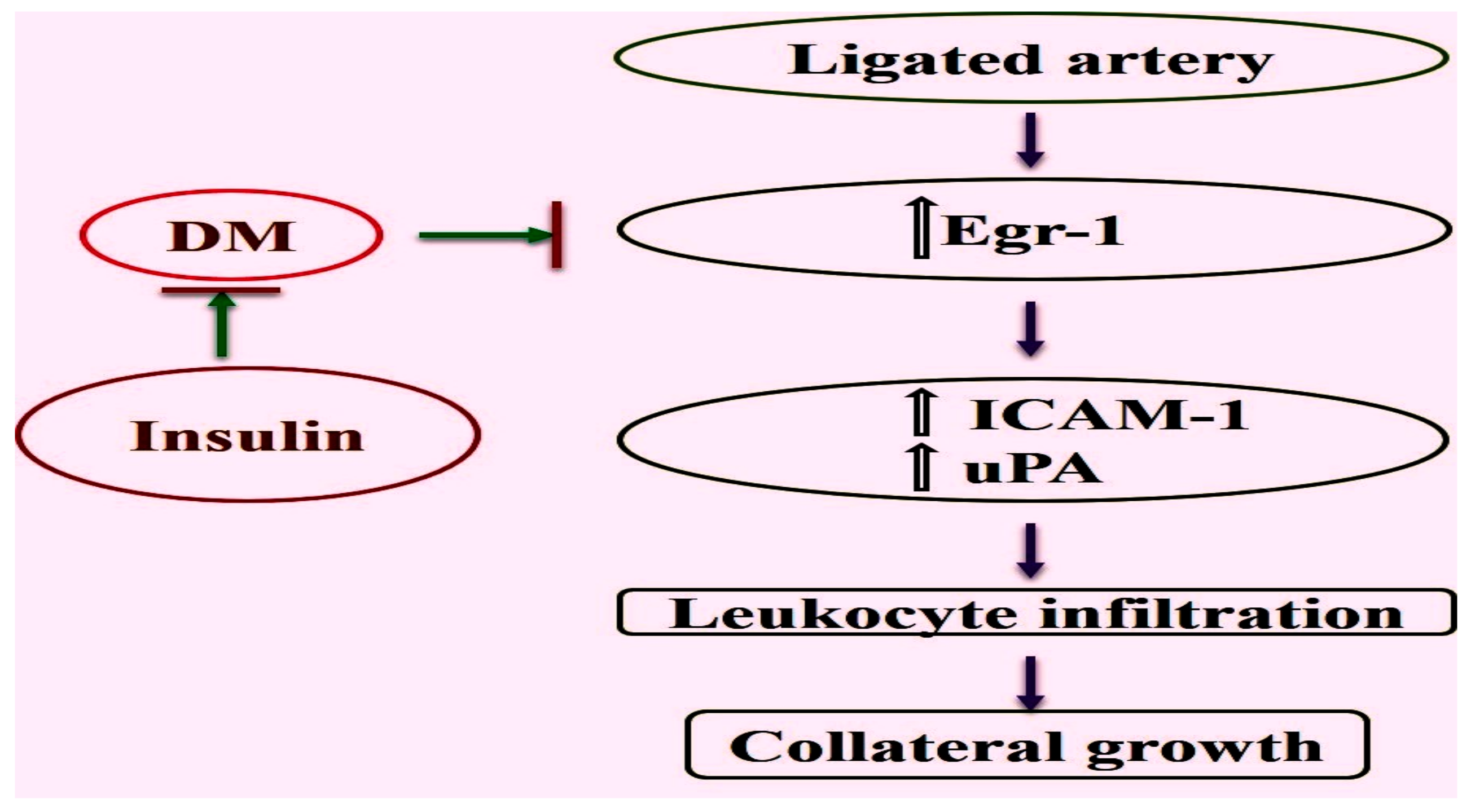 Ijms 20 03320 g005 Ijms 20 03320 g005