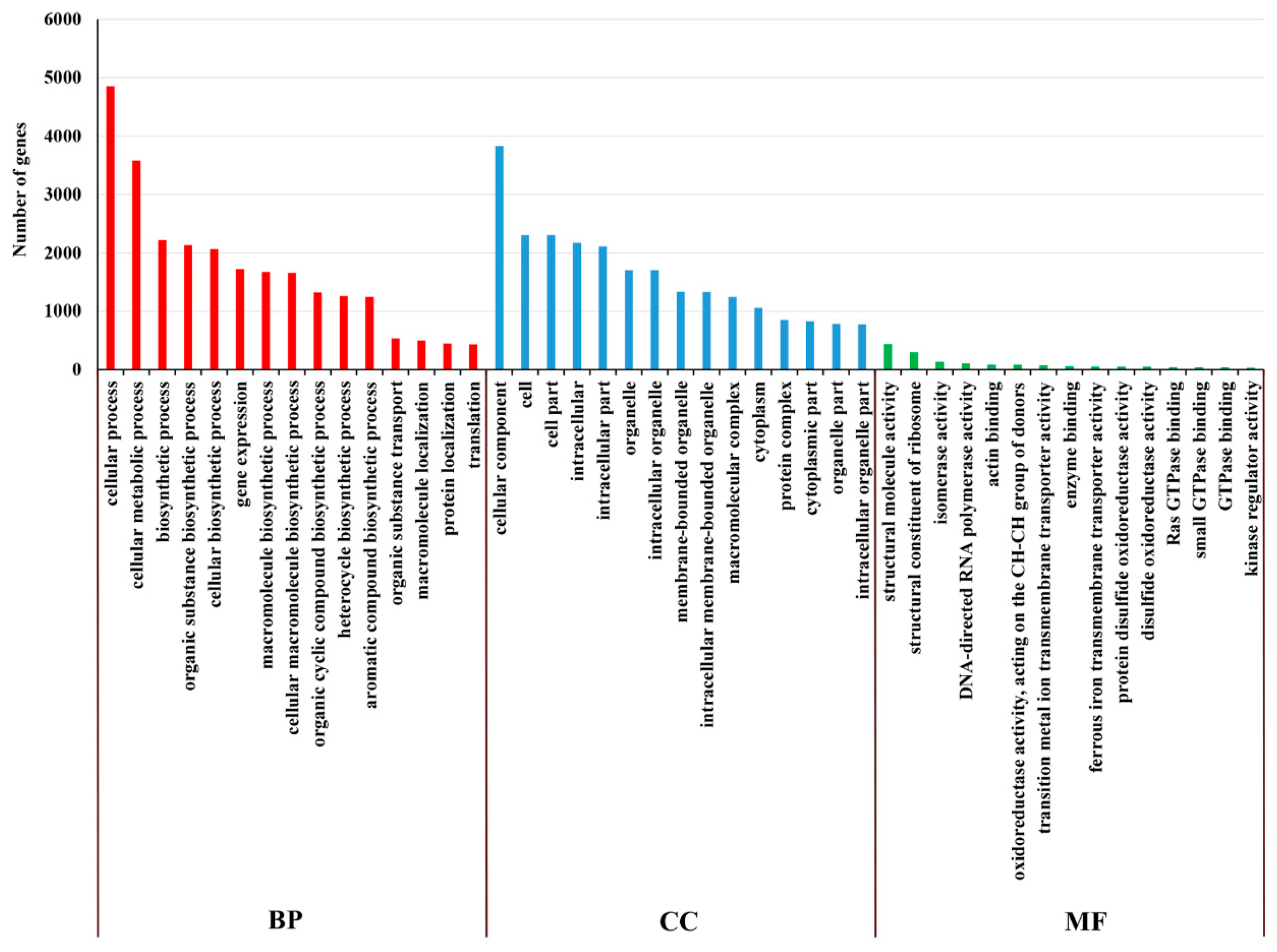 Ijms 20 03321 g011 Ijms 20 03321 g011