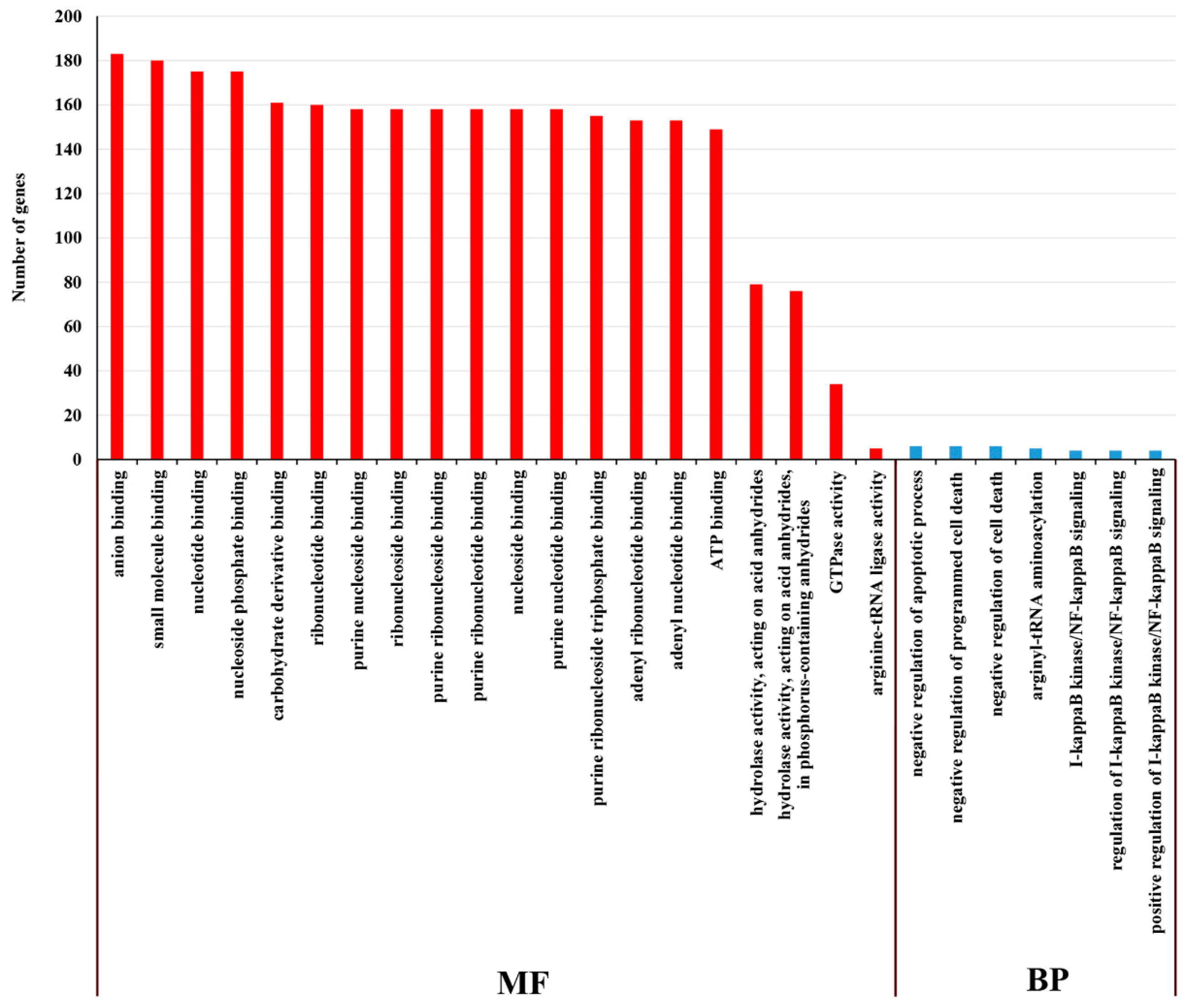 Ijms 20 03321 g012 Ijms 20 03321 g012