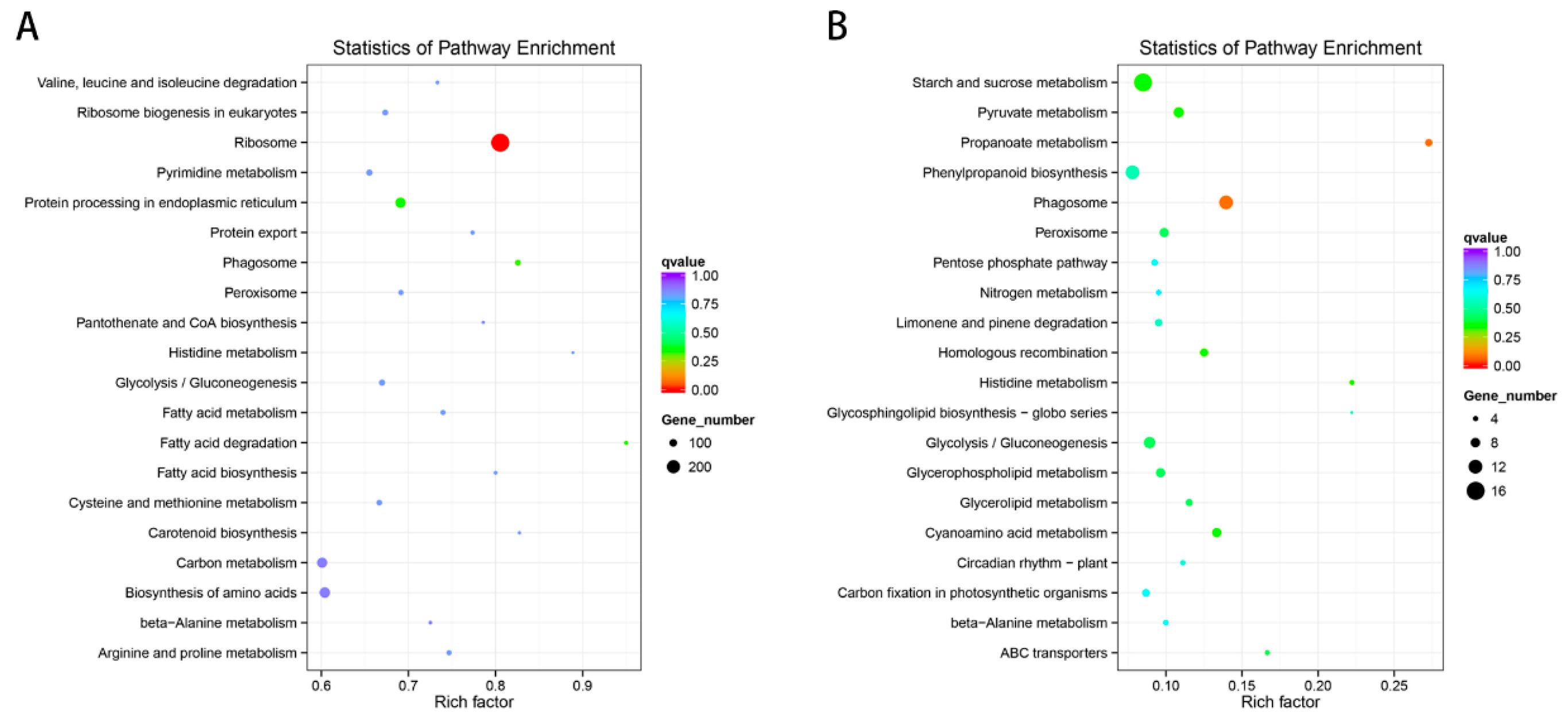 Ijms 20 03321 g013 Ijms 20 03321 g013