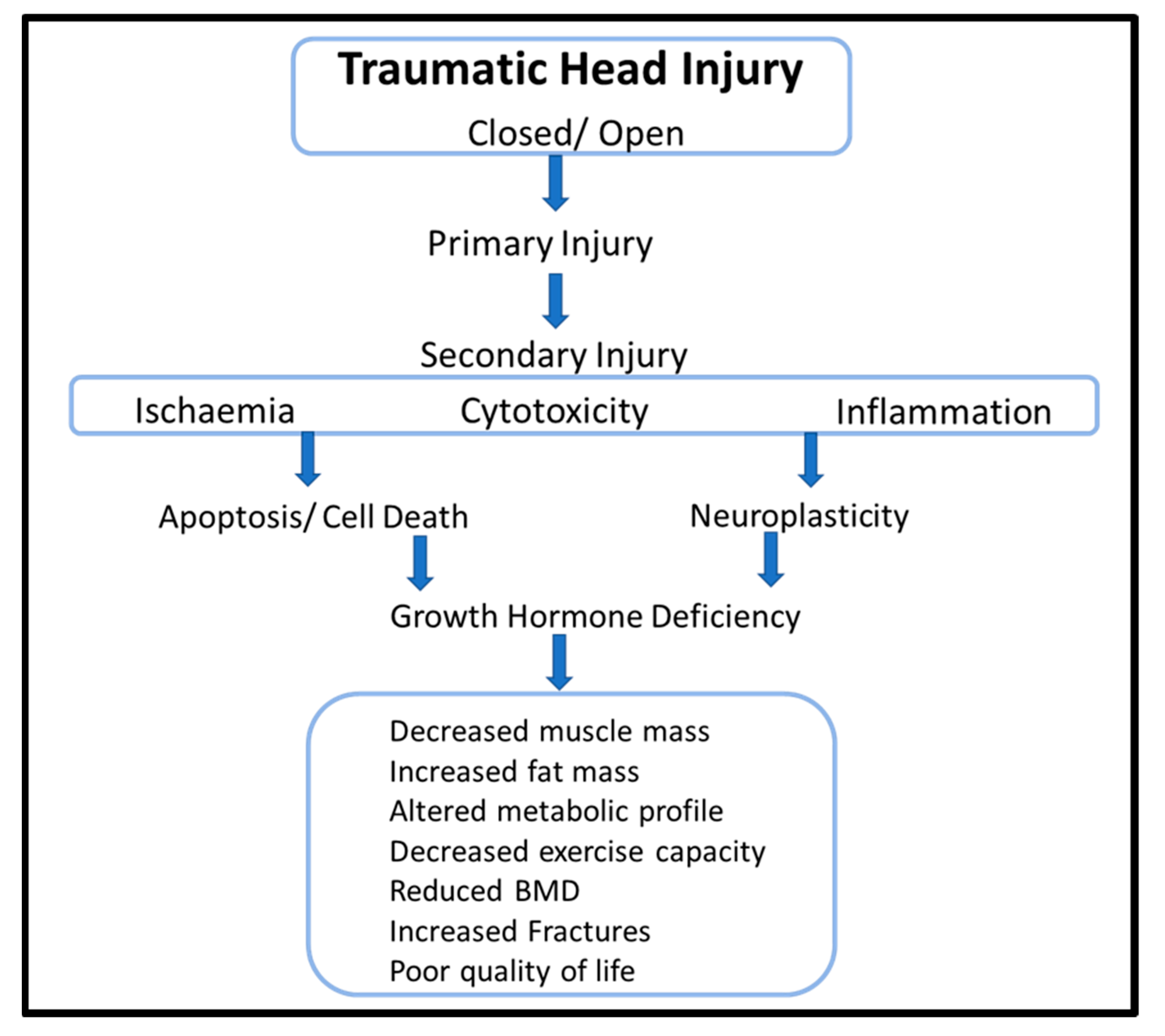 Pathophysiology Of Injury