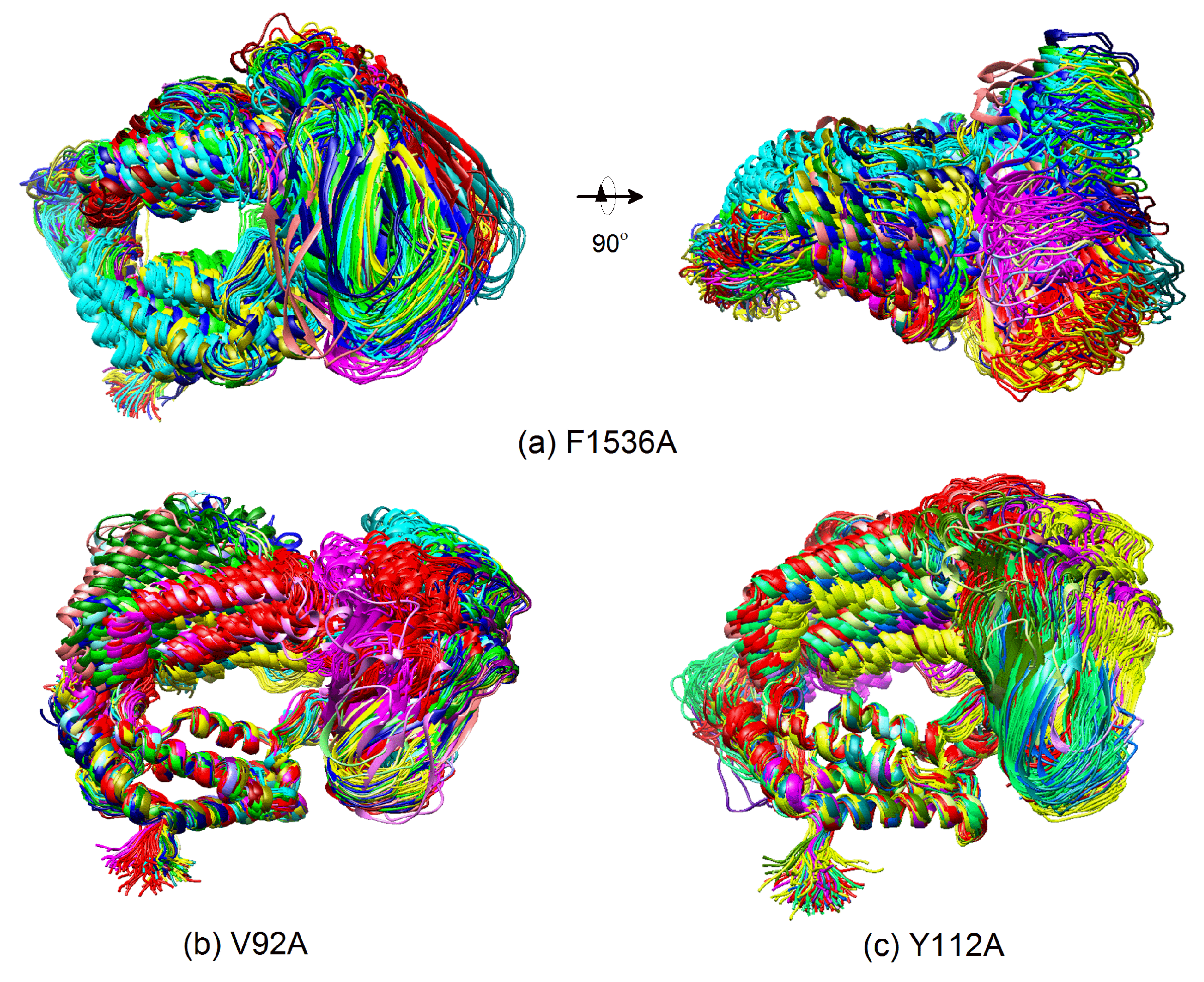 Ijms 20 03325 g007 Ijms 20 03325 g007