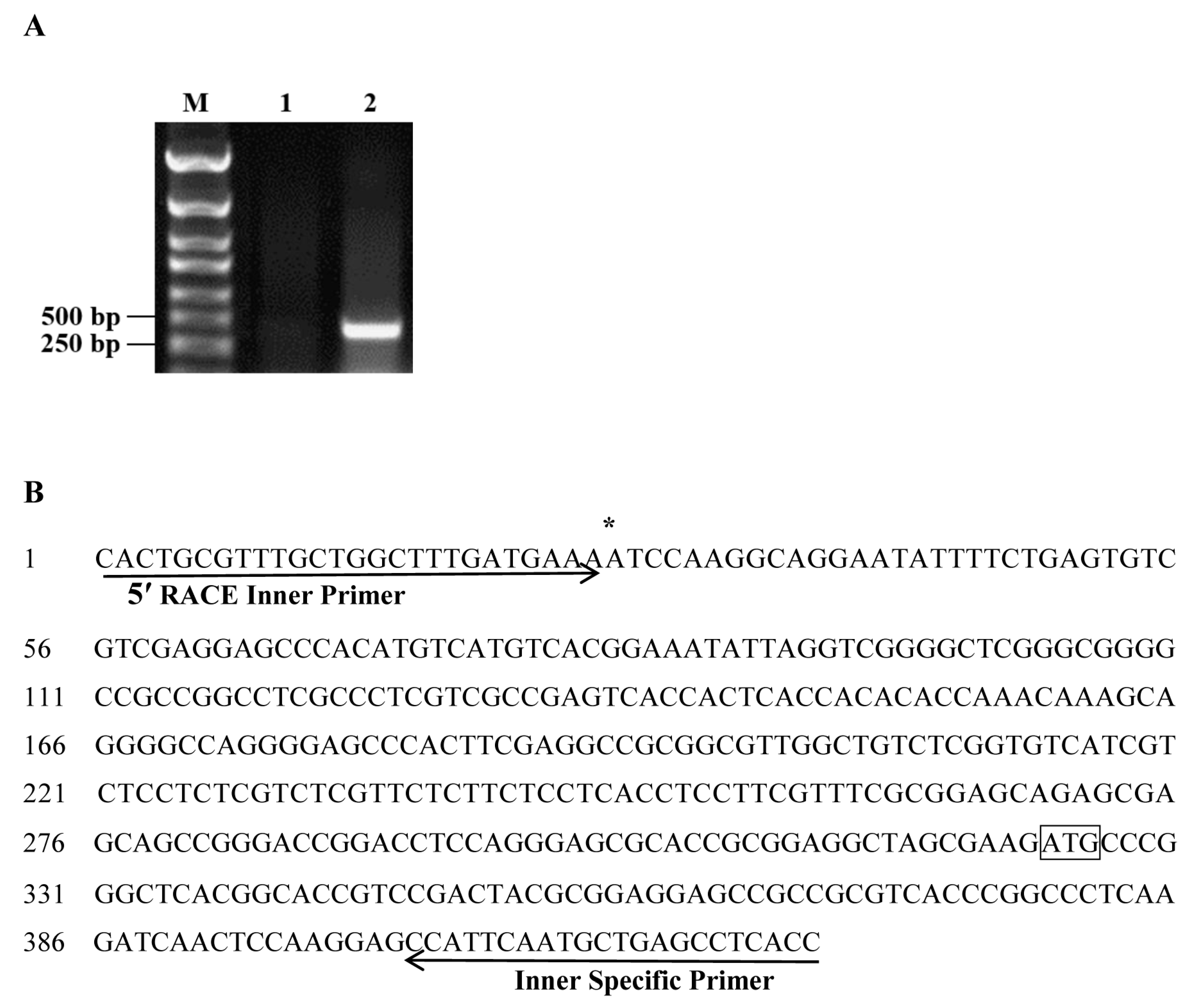 Ijms 20 03326 g001 Ijms 20 03326 g001