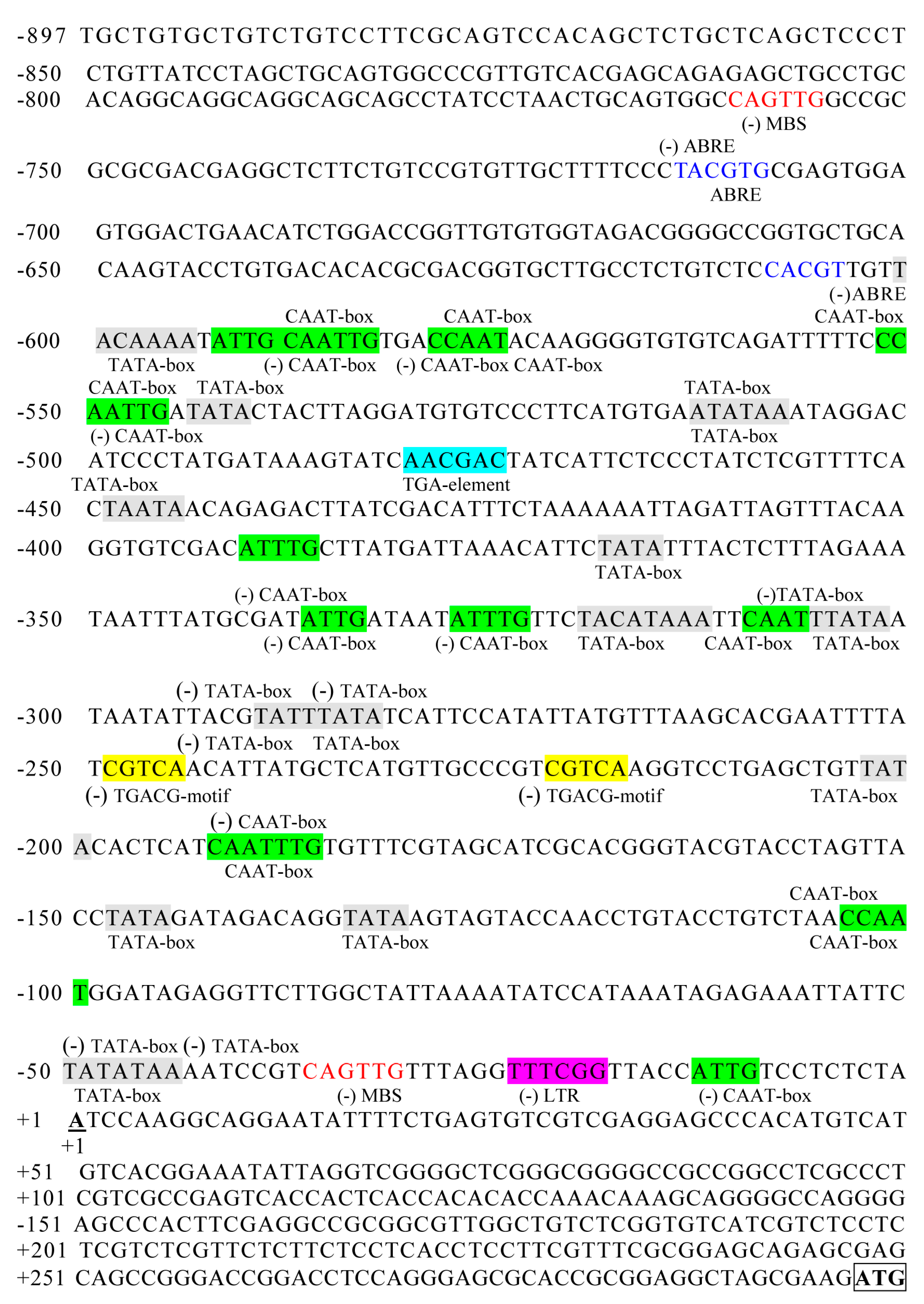 Ijms 20 03326 g002 Ijms 20 03326 g002