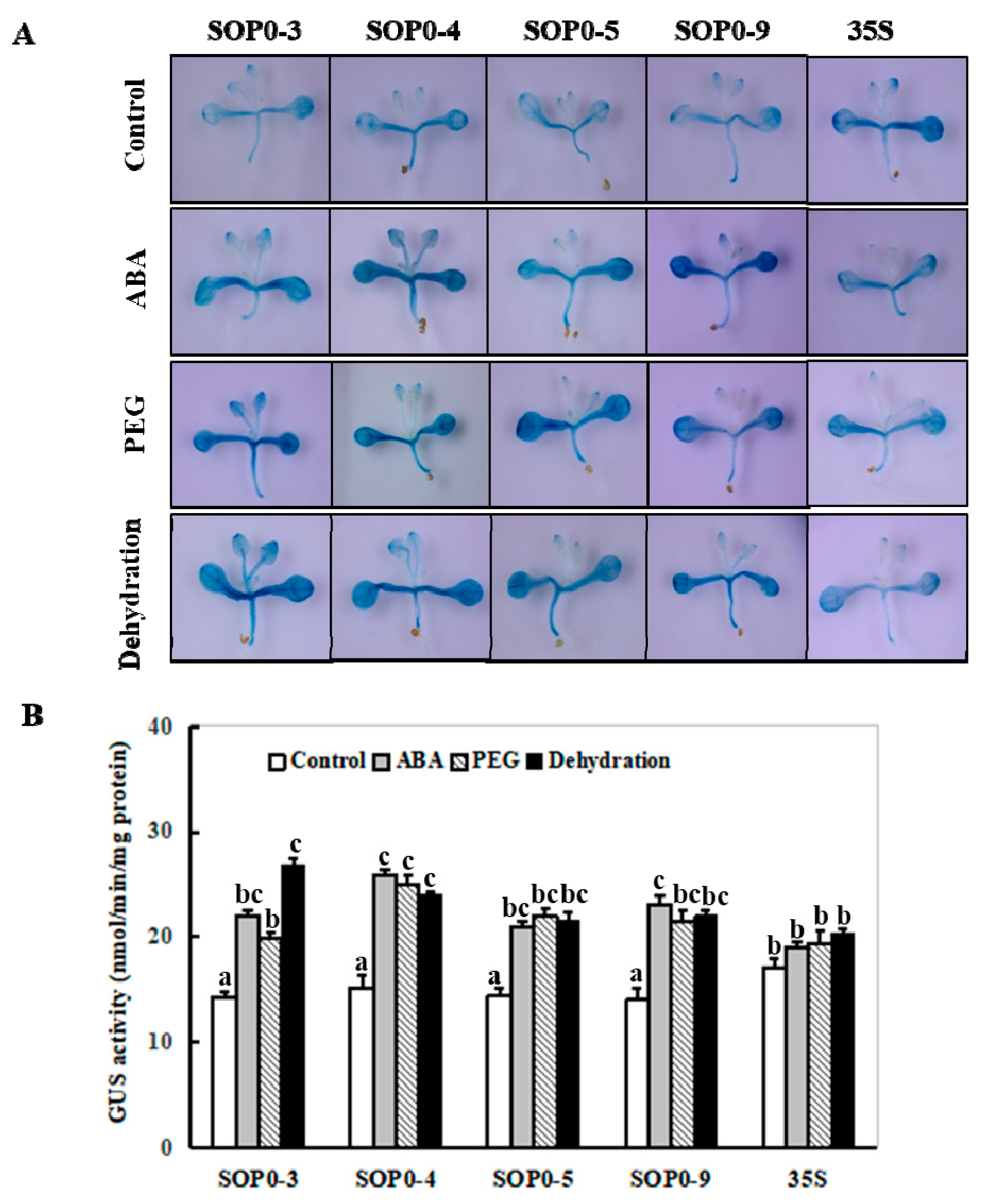 Ijms 20 03326 g004 Ijms 20 03326 g004