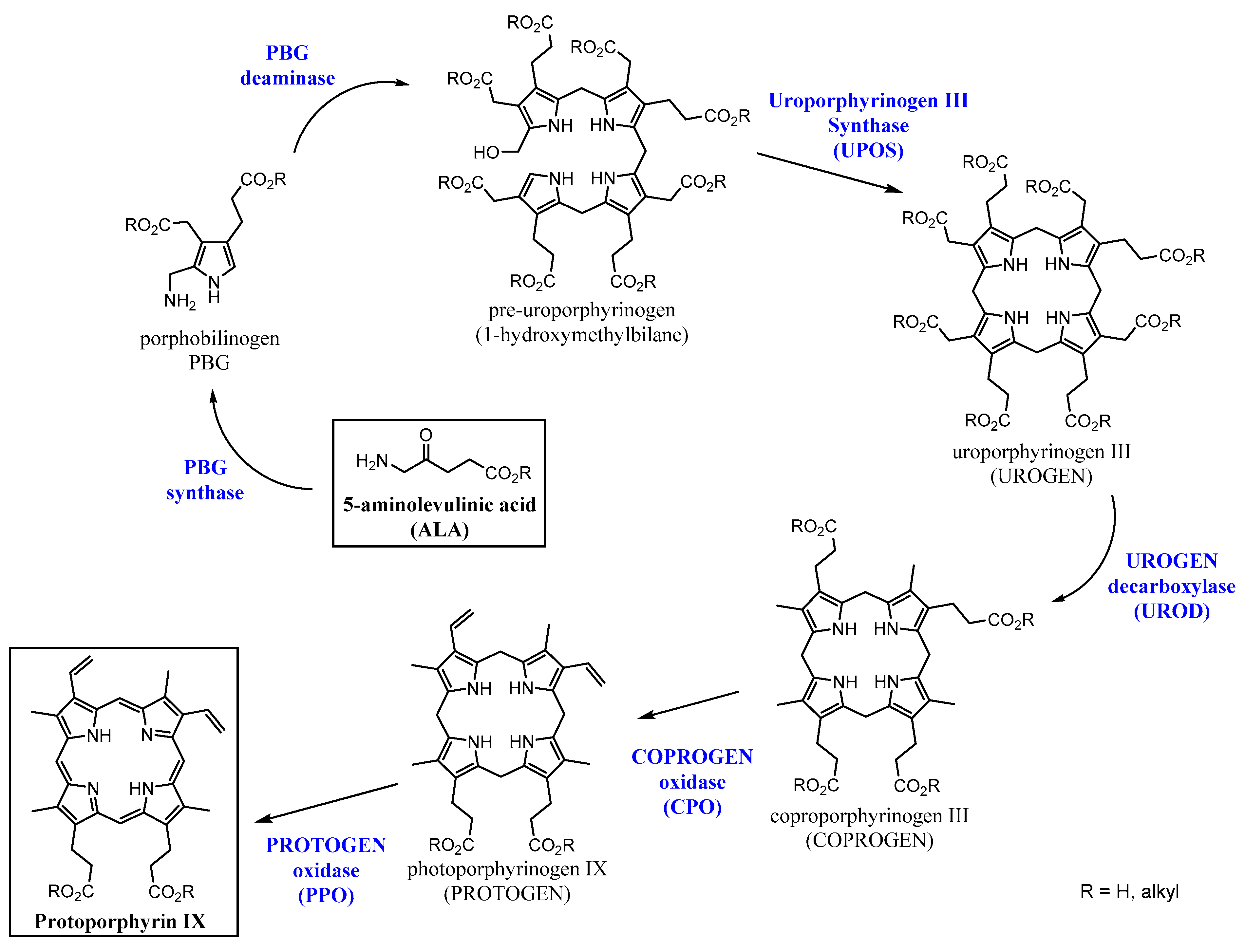 Ijms 20 03339 sch001