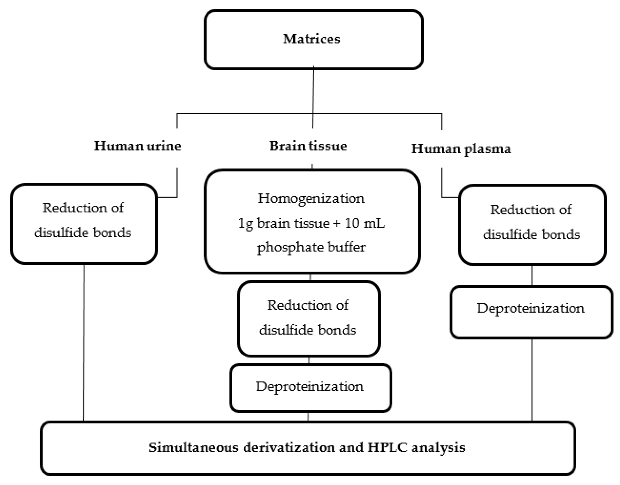 Ijms 20 03340 g006 550