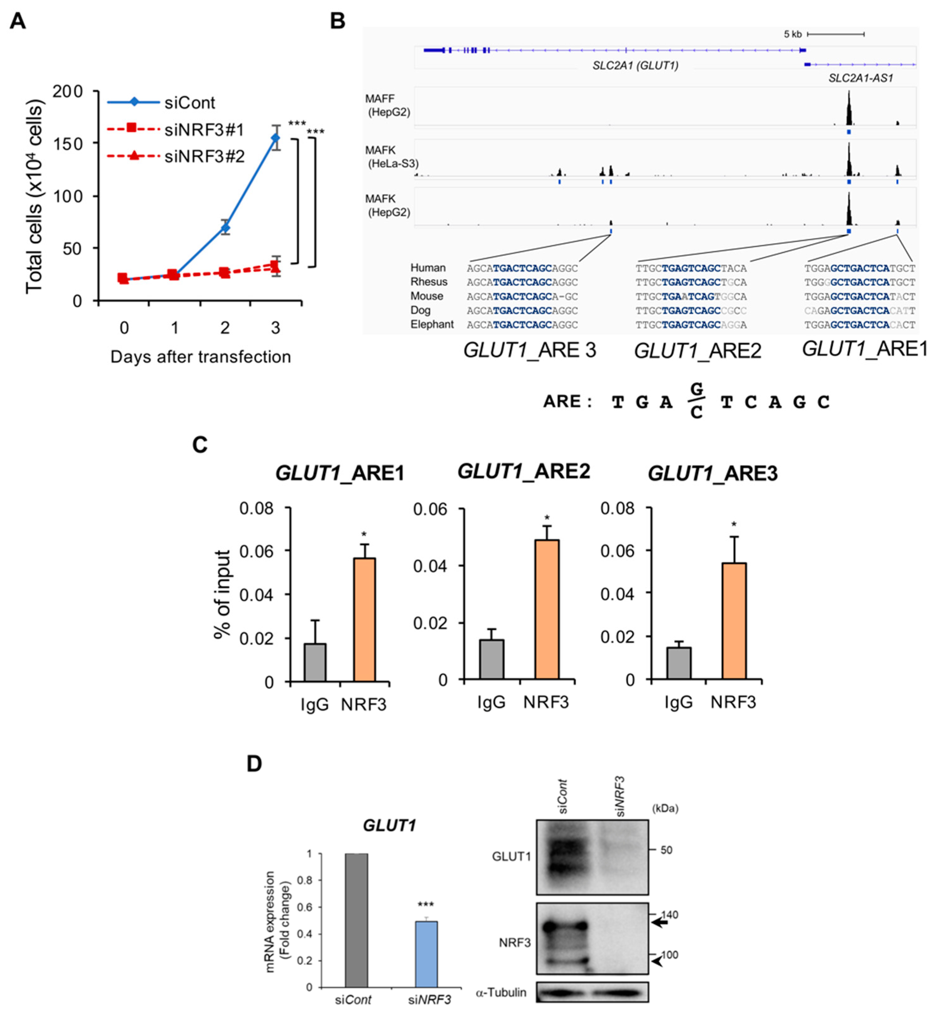 Ijms 20 03344 g004