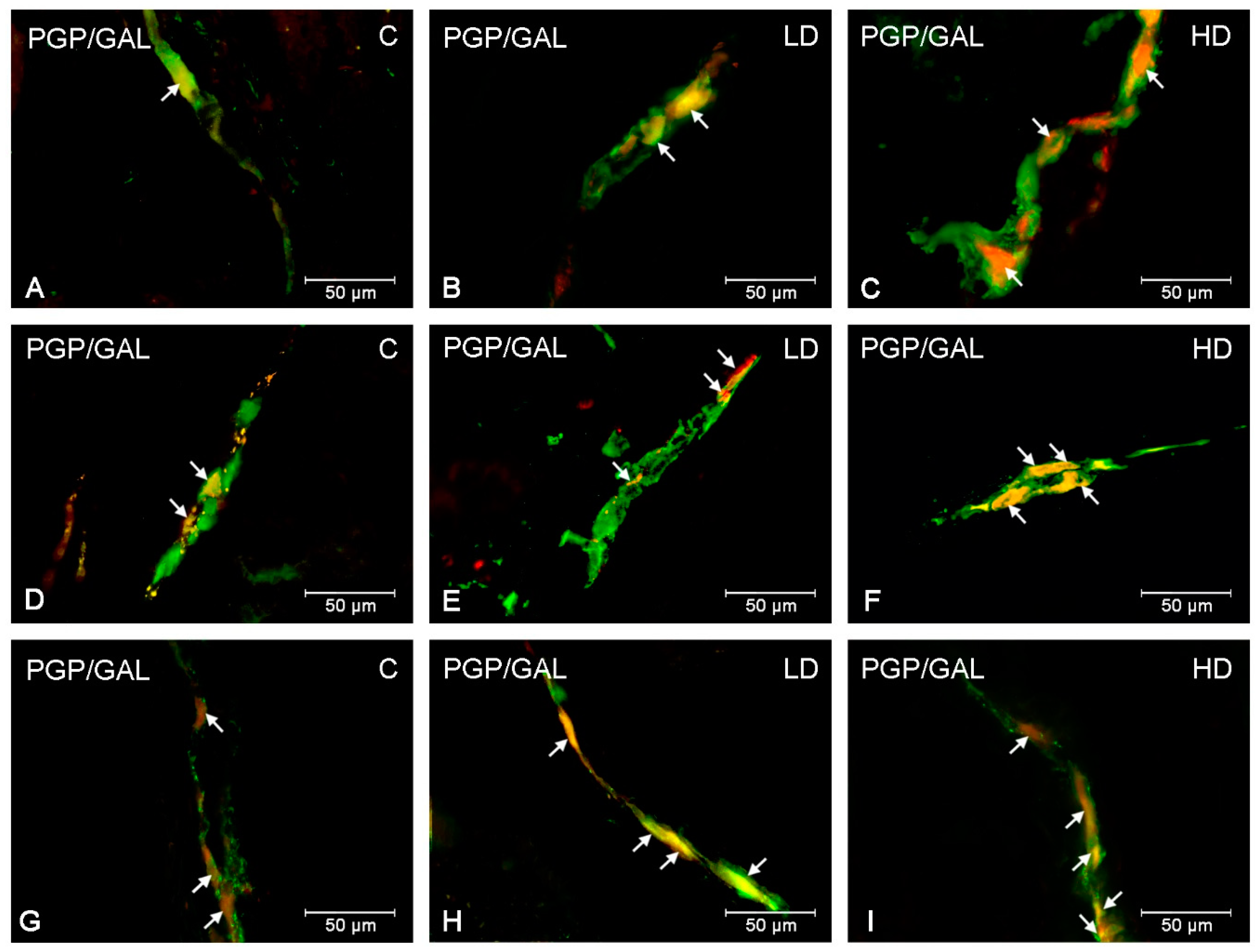 Ijms 20 03345 g001 Ijms 20 03345 g001