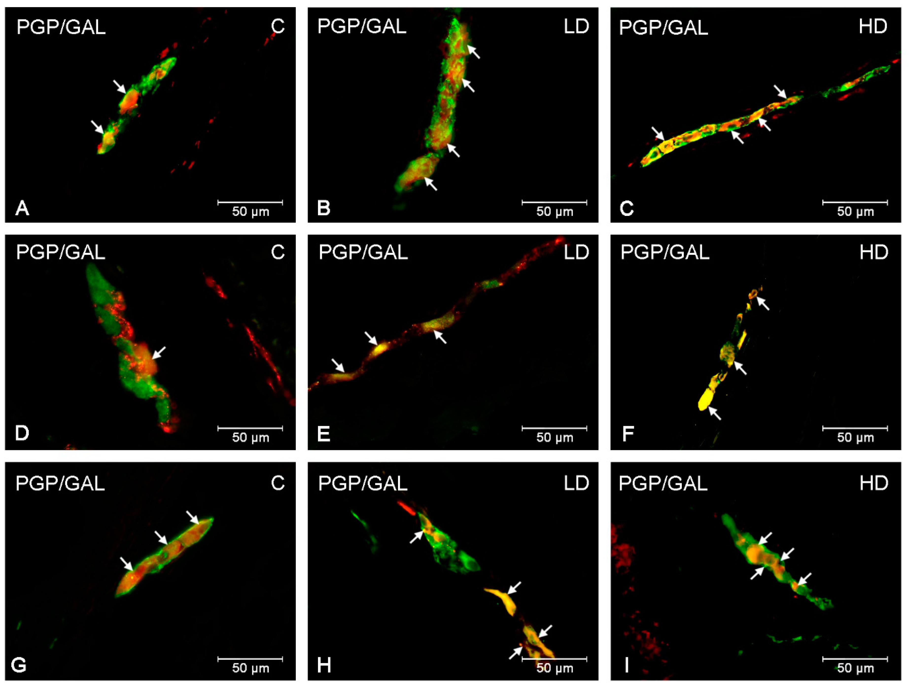 Ijms 20 03345 g002 Ijms 20 03345 g002