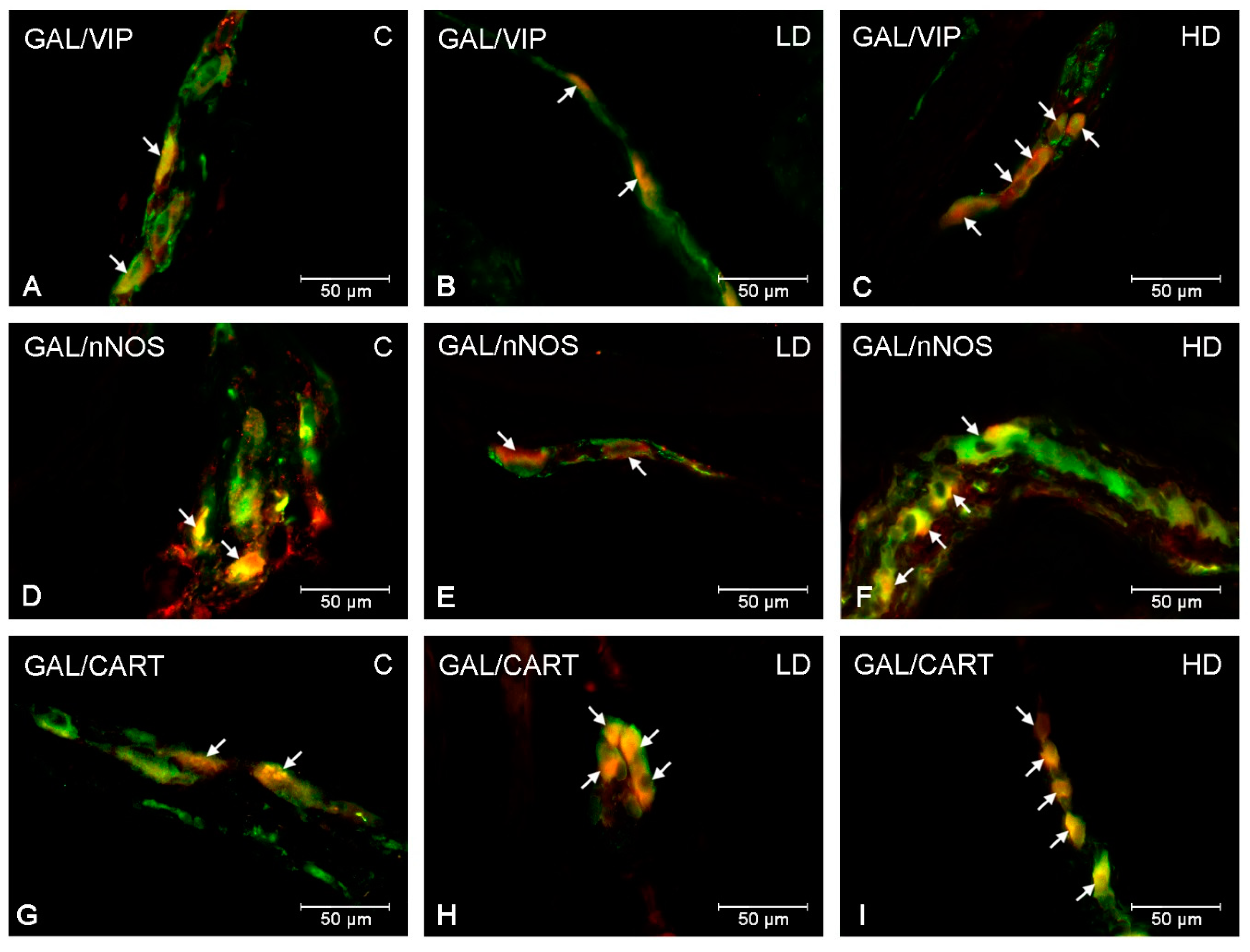 Ijms 20 03345 g003 Ijms 20 03345 g003